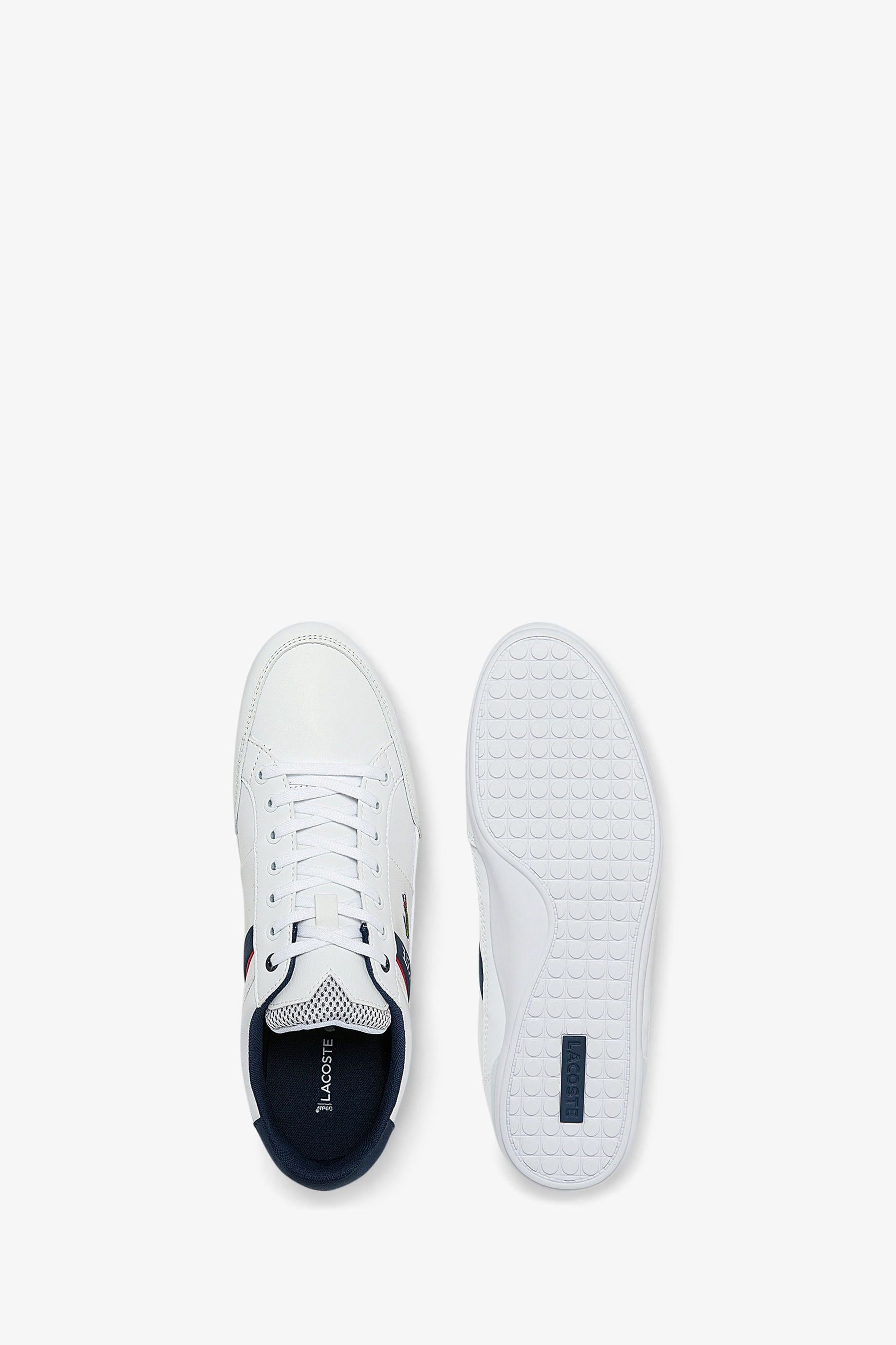 Buy Lacoste White Blue Chaymon Logo Trainers from Next Luxembourg