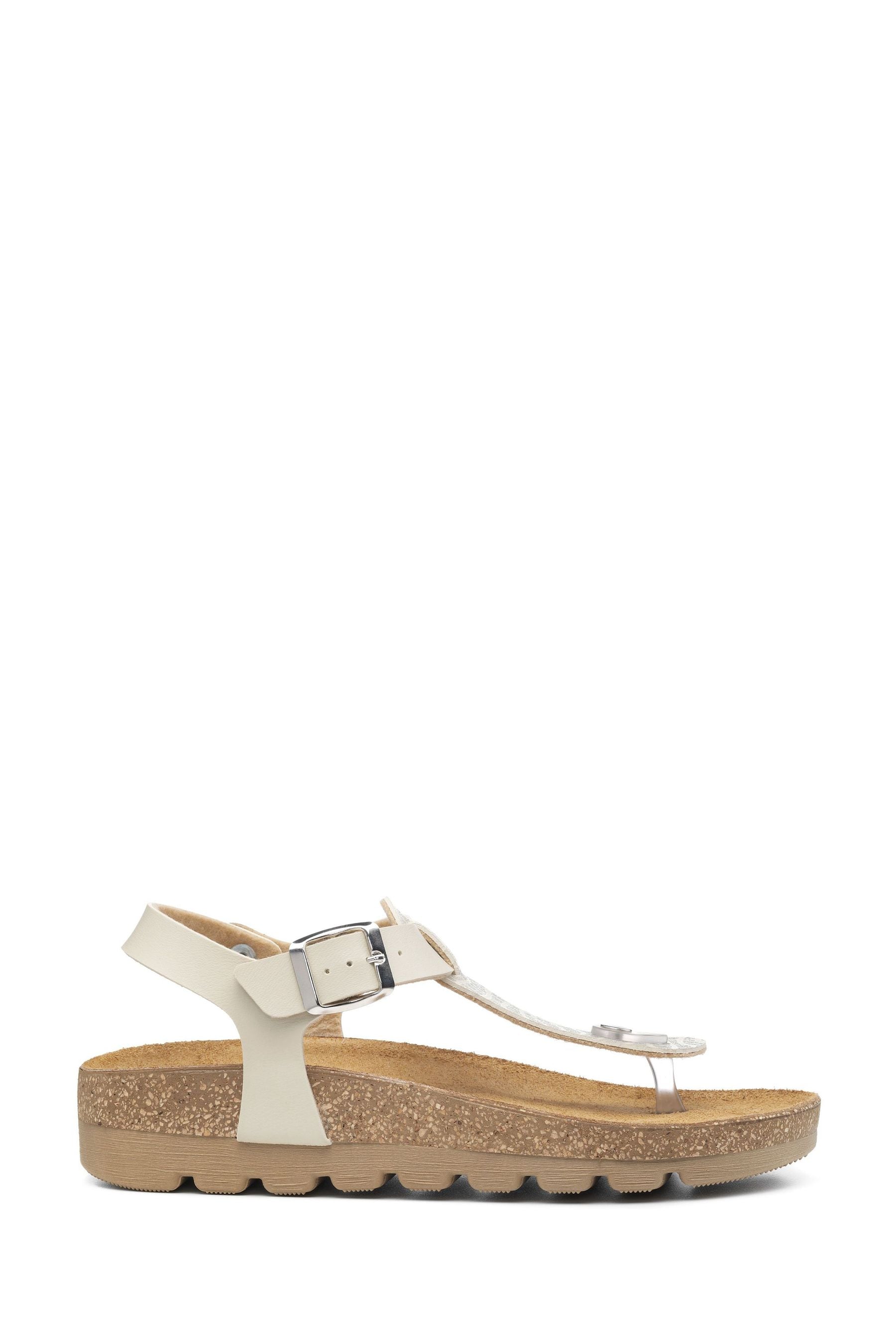 Buy Hotter Rita Buckle Regular Fit Sandals from Next Germany