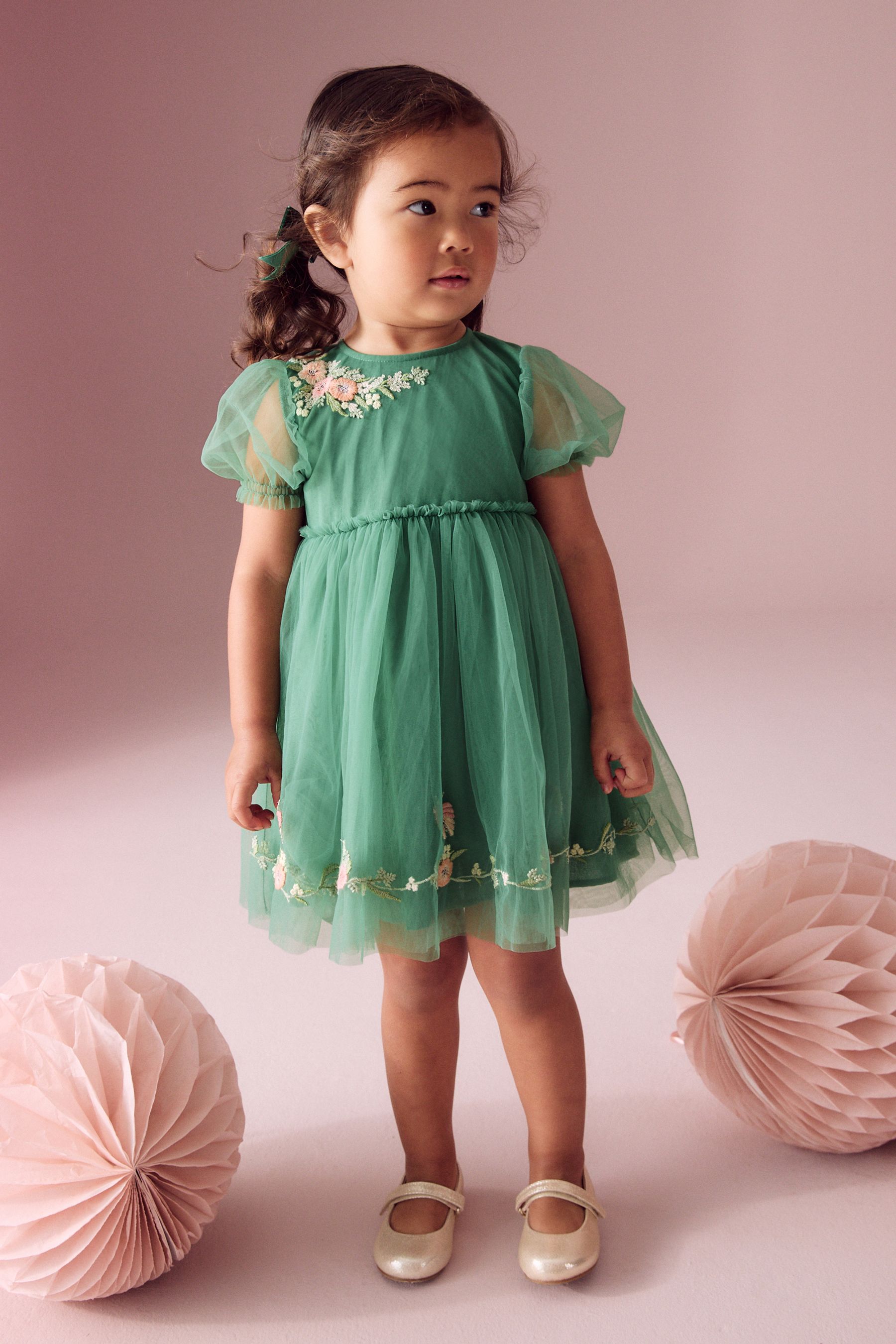 Buy Green Embroidered Mesh Party Dress 3mths 10yrs from Next Ukraine