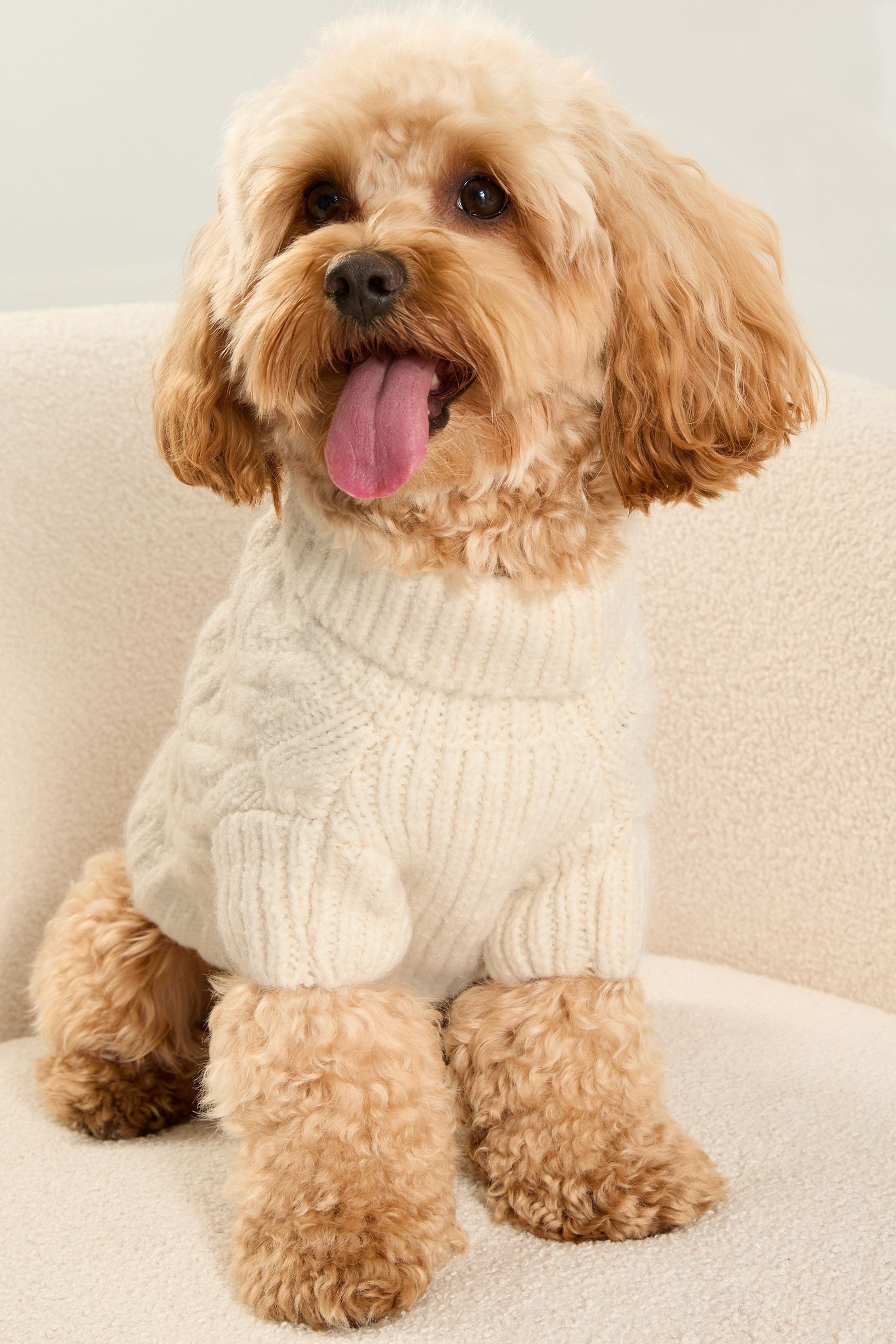 Buy Lipsy Cream Super Soft Cable Design Dog Jumper with Wool from the Next UK online shop