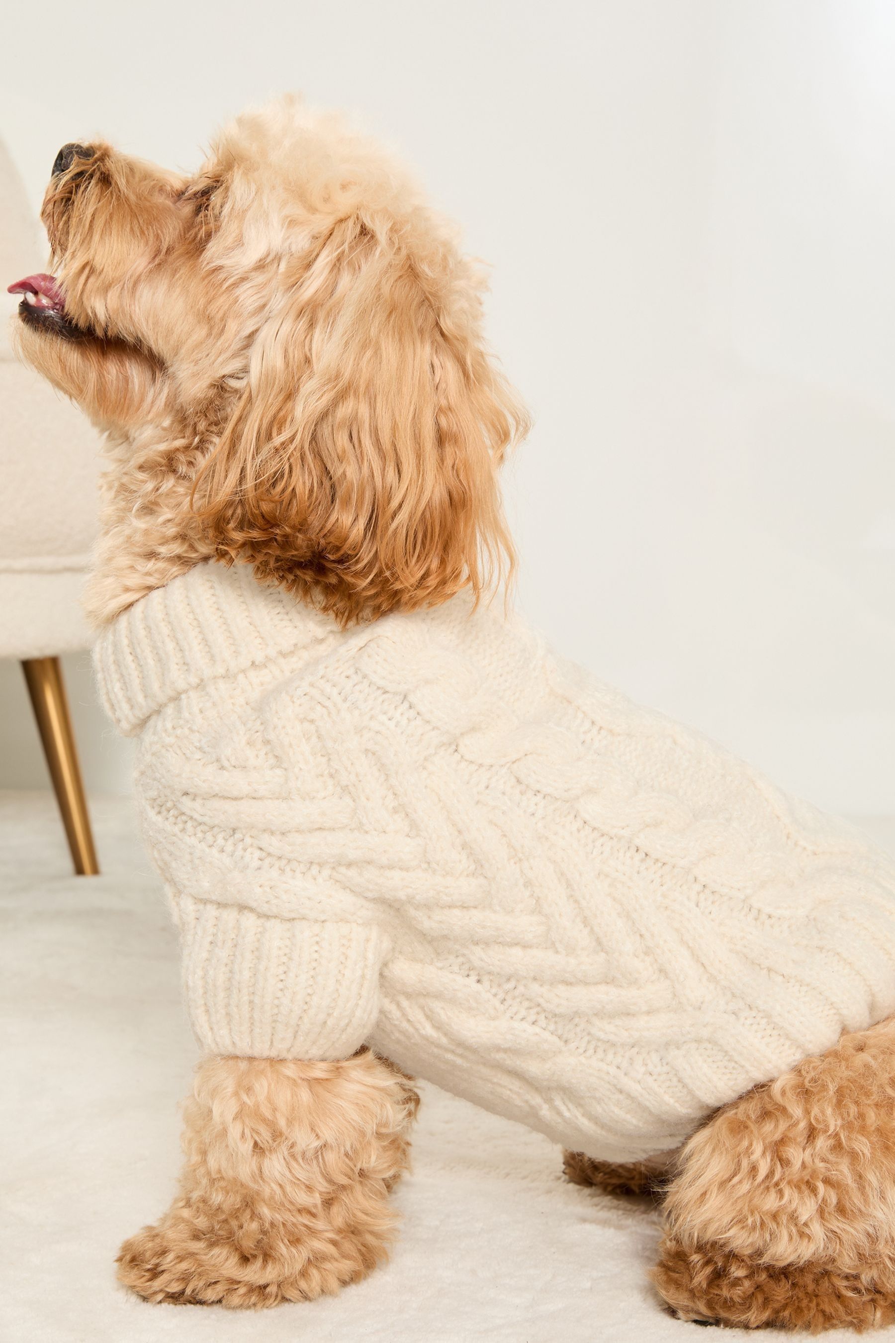 Buy Lipsy Cream Super Soft Cable Design Dog Jumper with Wool from the Next UK online shop