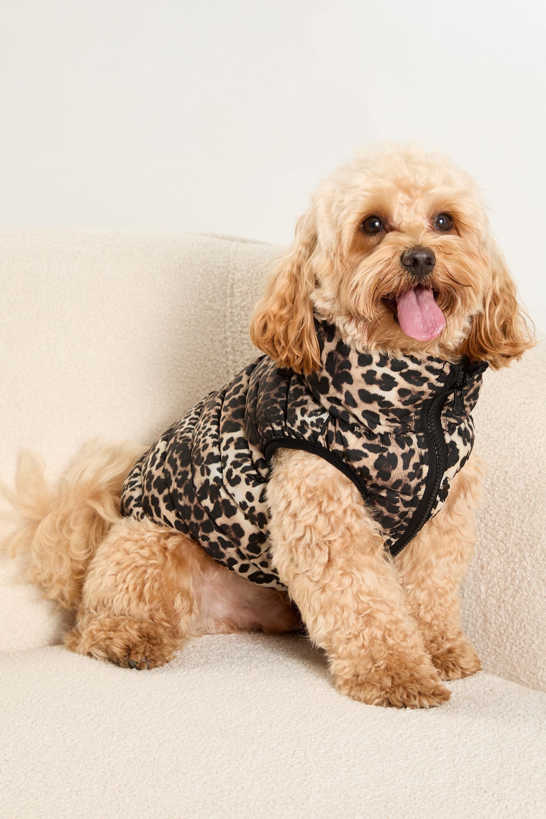 Buy Lipsy Black Reversible Dog Padded Jacket from the Next UK online shop