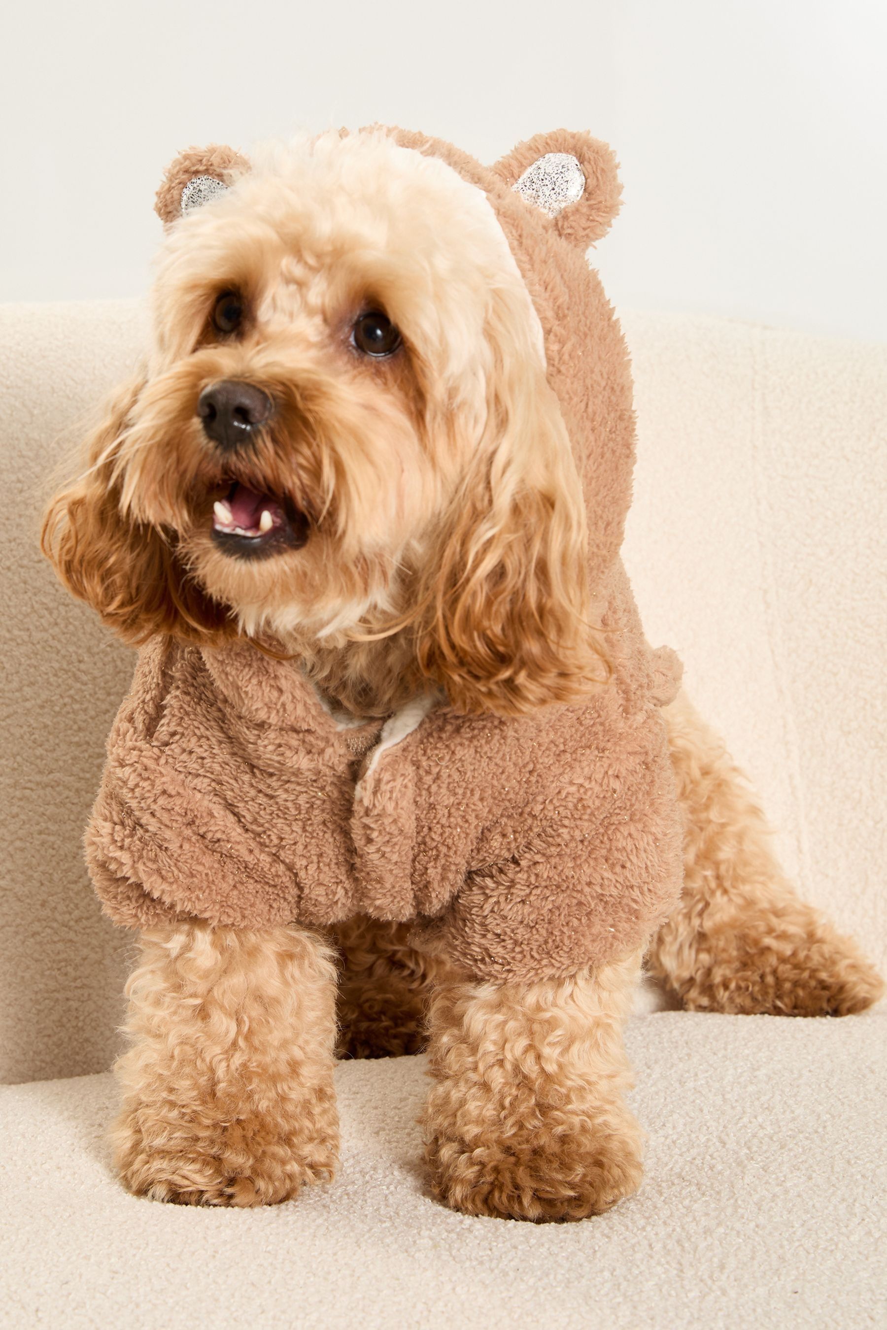 Buy Lipsy Brown Super Soft Cosy Dog Dressing Gown Jacket from the Next UK online shop
