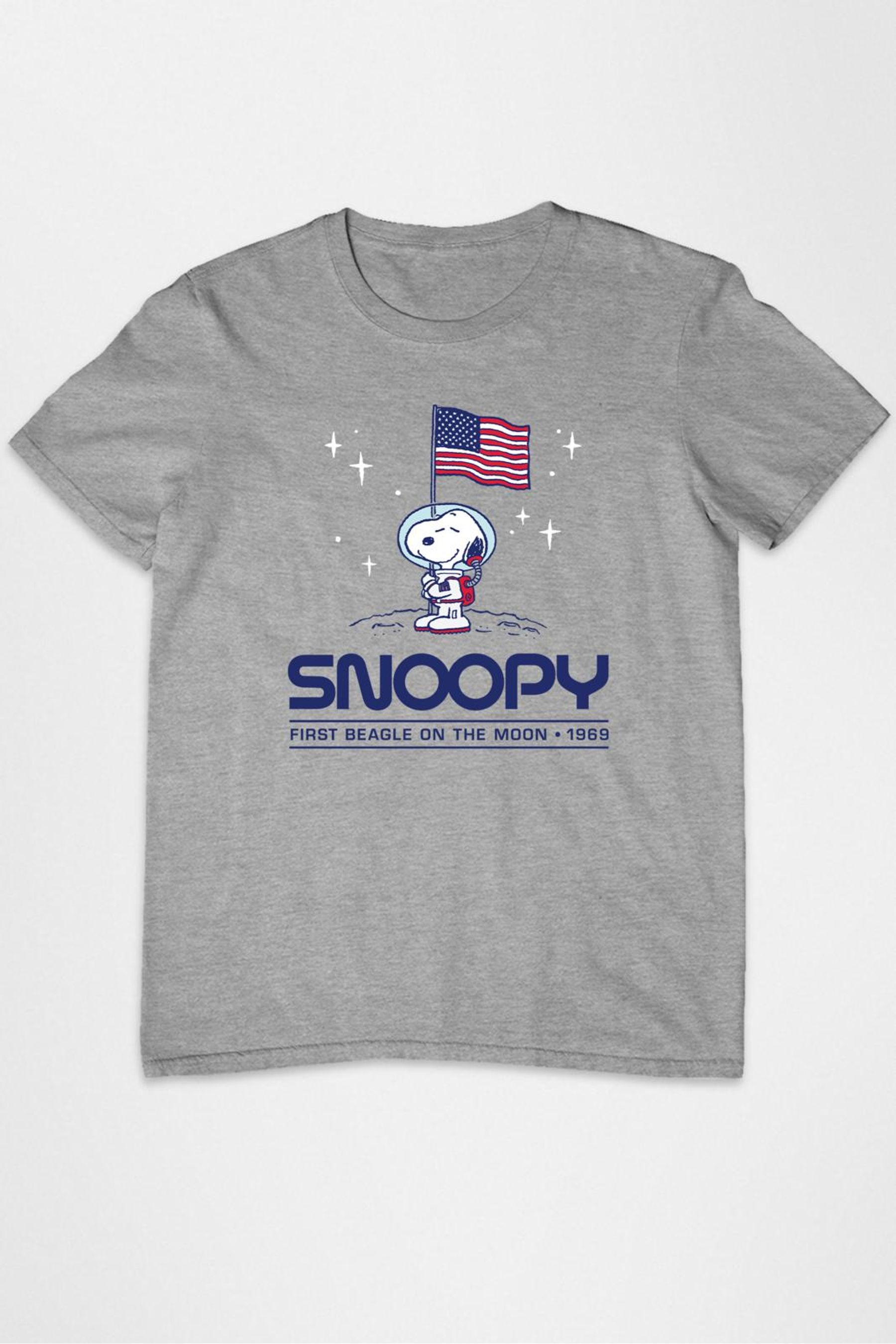 Buy All Every Grey Peanuts Snoopy Moon Landing Planting Flag Mens T Shirt from the Next UK online shop