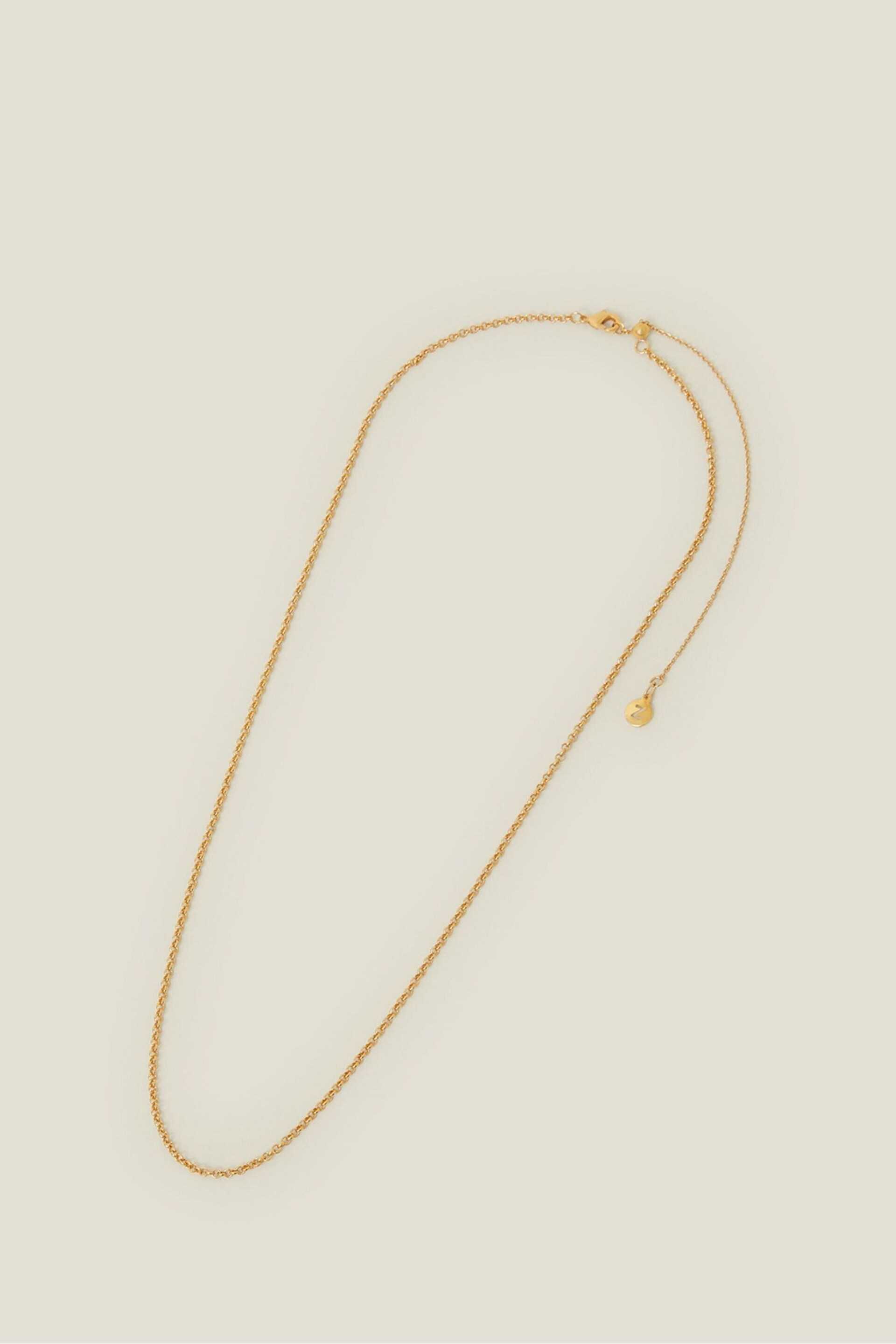 Accessorize 14ct Gold Plated Belcher Chain Necklace - Image 1 of 3