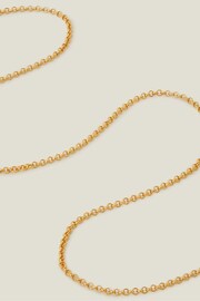 Accessorize 14ct Gold Plated Belcher Chain Necklace - Image 2 of 3