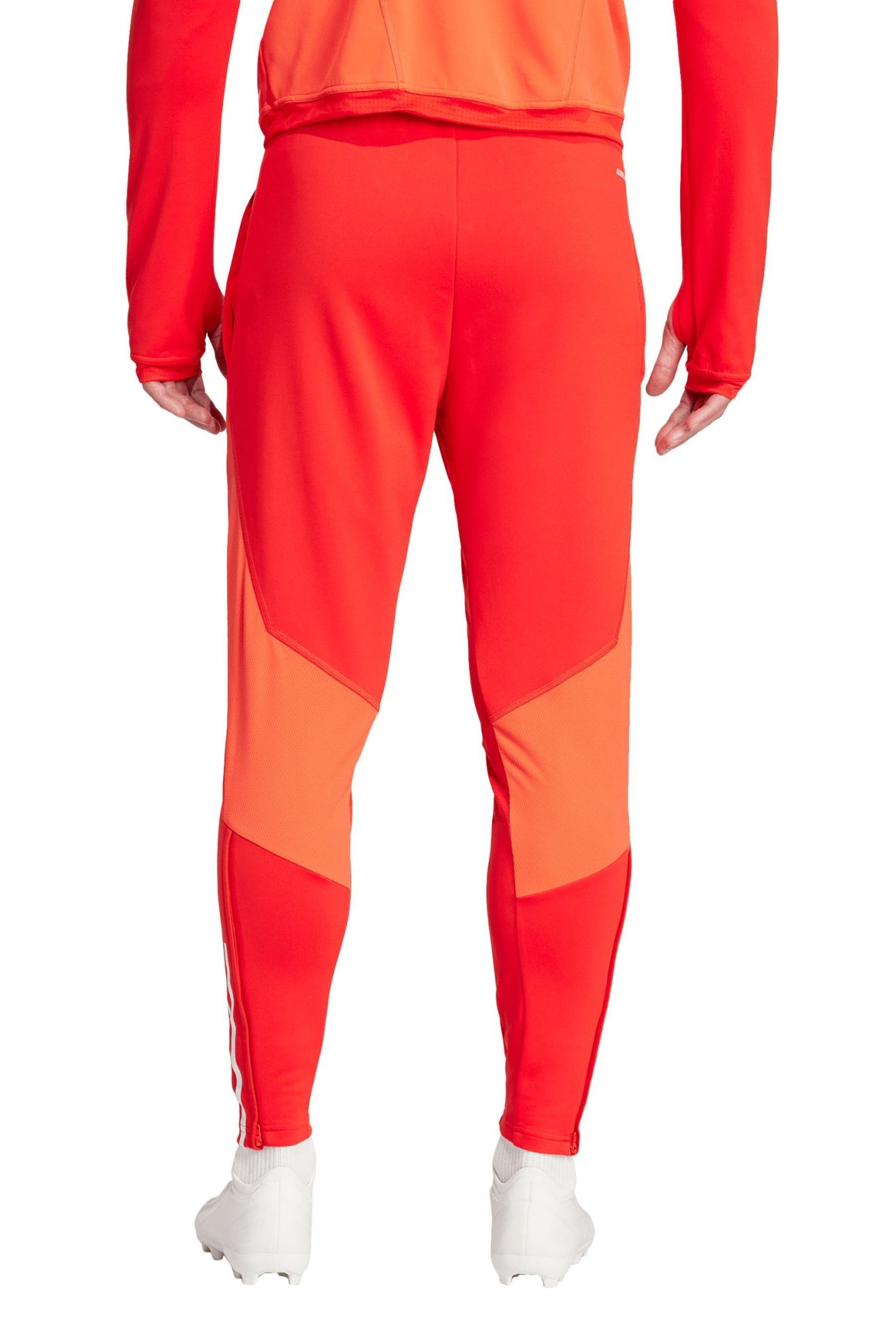 Buy adidas Red FC Bayern Training Trousers from Next Oman