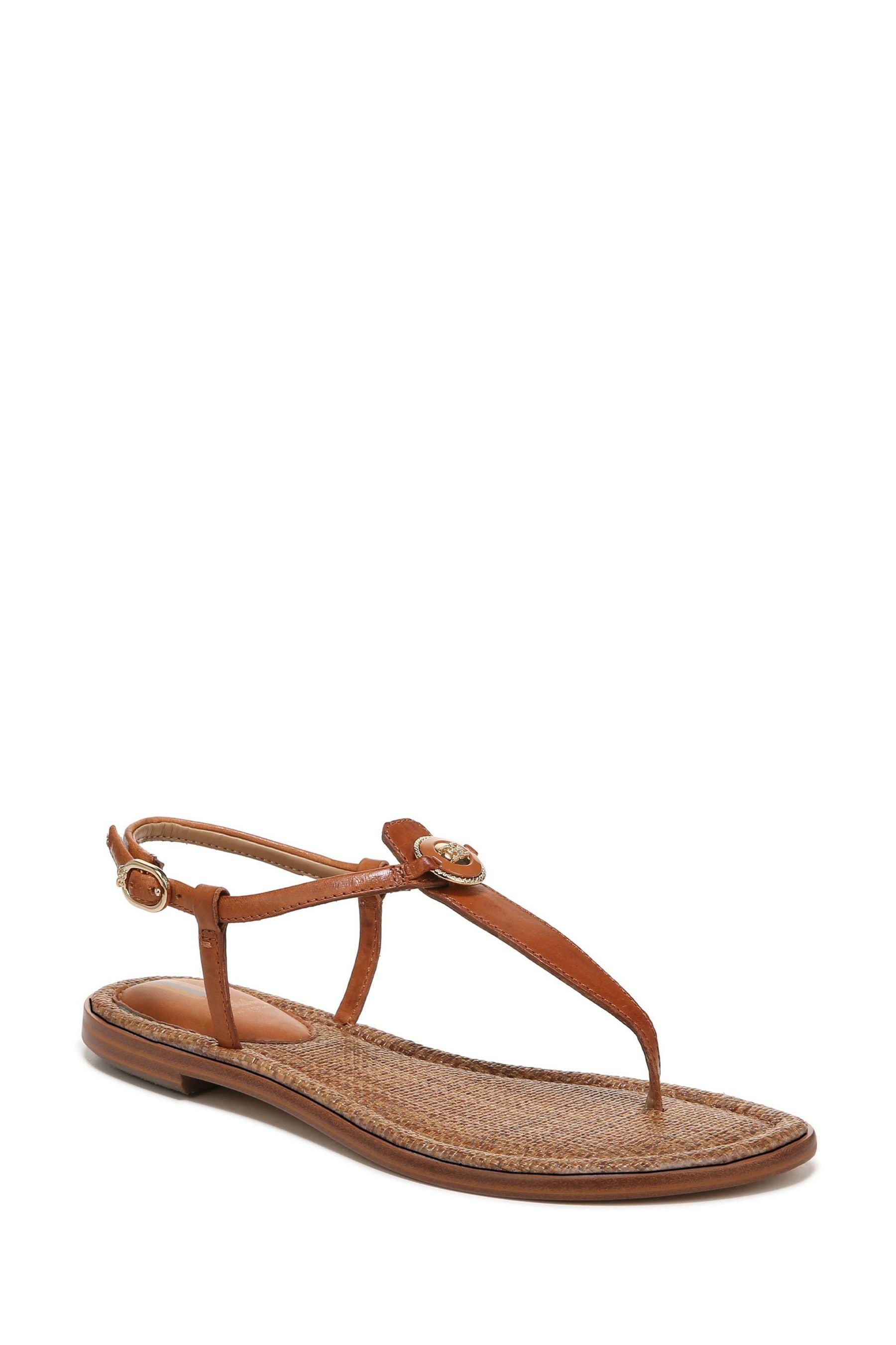 Buy Sam Edelman Gigi Thong Sandals from Next USA