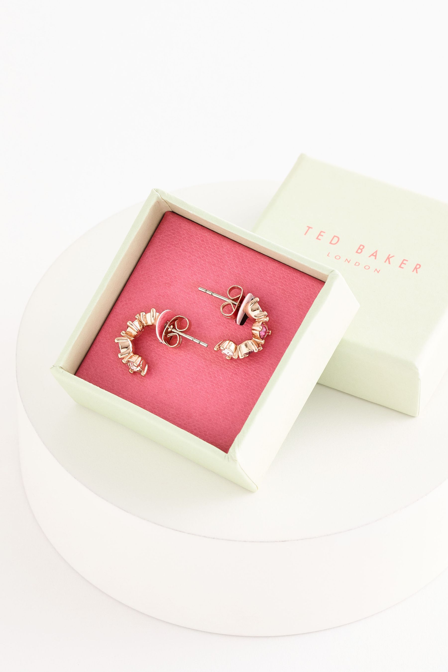 Buy Ted Baker Pink CRESITA Crystal Hoop Earrings from Next Luxembourg