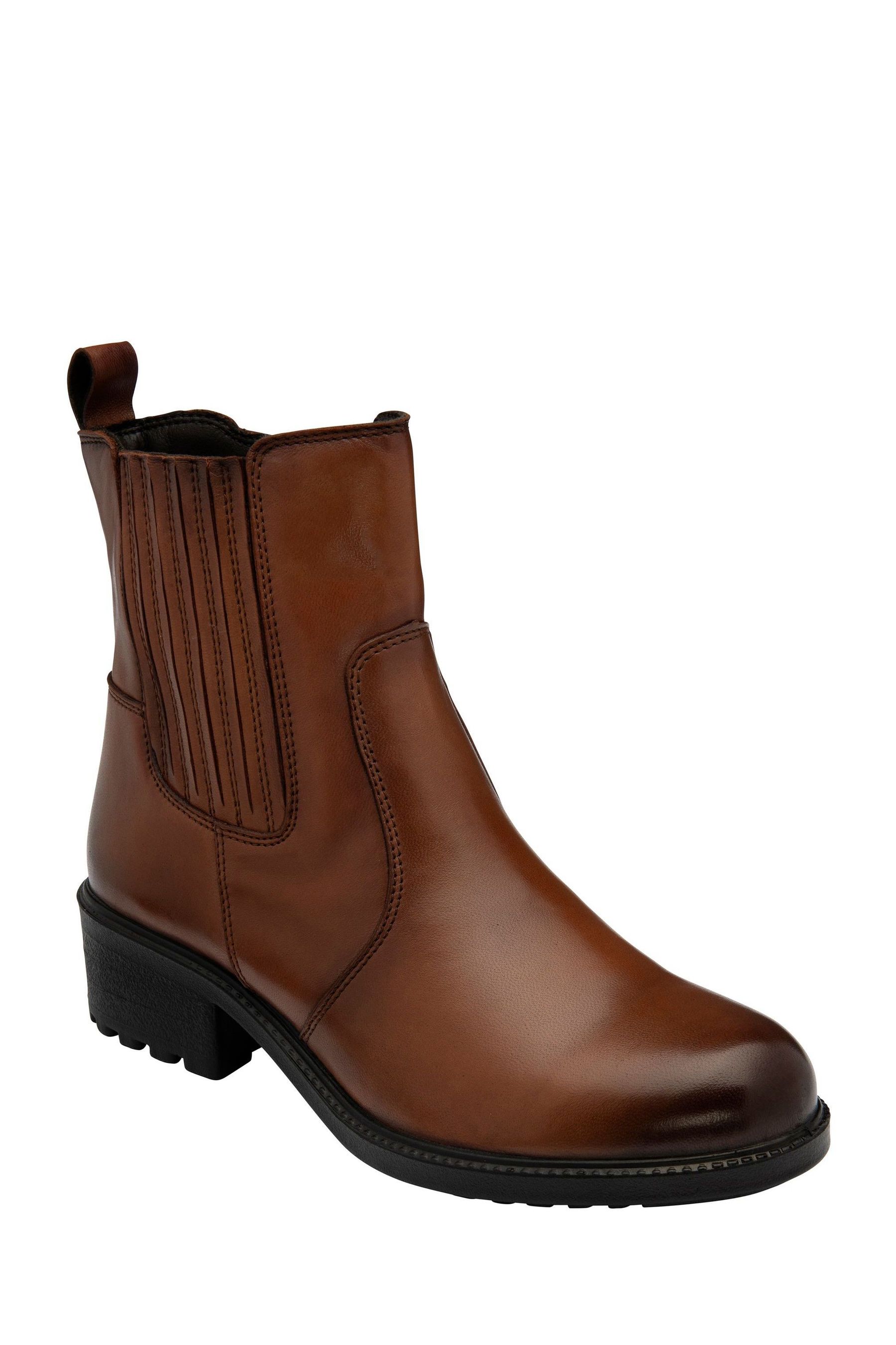Buy Lotus Brown Ankle Boots from the Next UK online shop