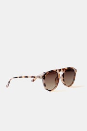 Mint Velvet Brown Tortoiseshell Sunglasses - Image 1 of 6