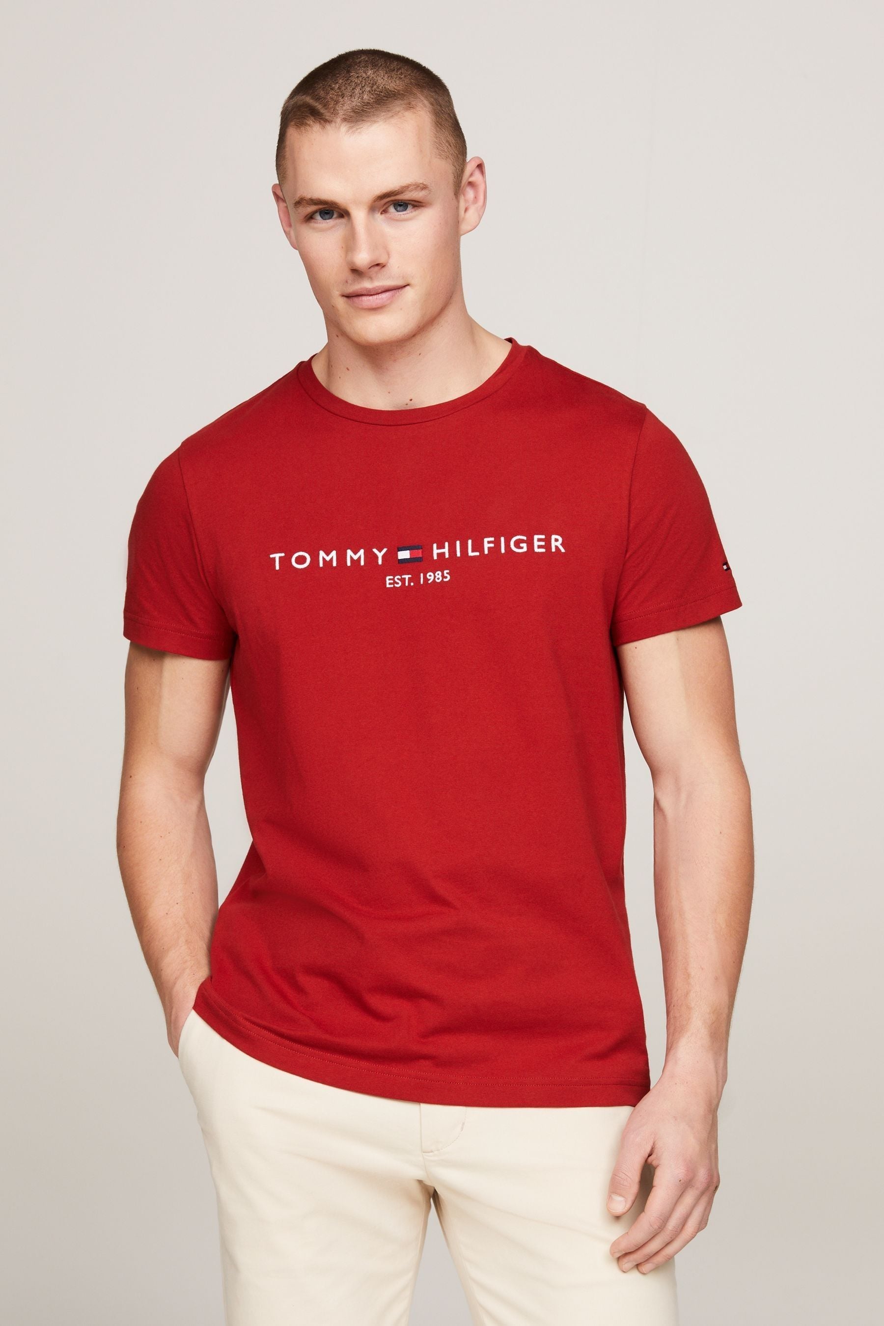 Buy Tommy Hilfiger Red Logo T Shirt from Next Canada