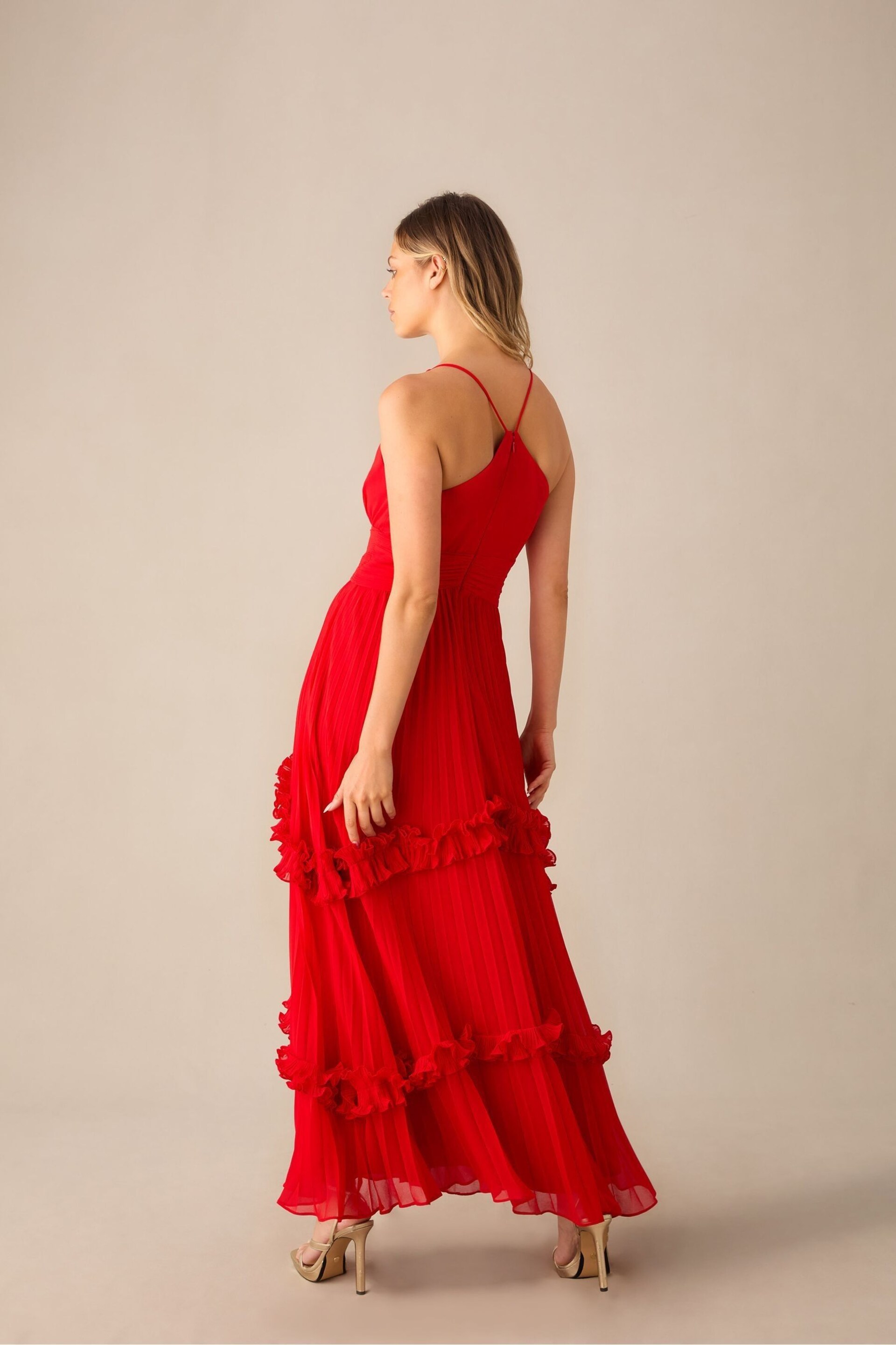 Ro&Zo Sienna Pleated Frill Maxi Dress - Image 7 of 7