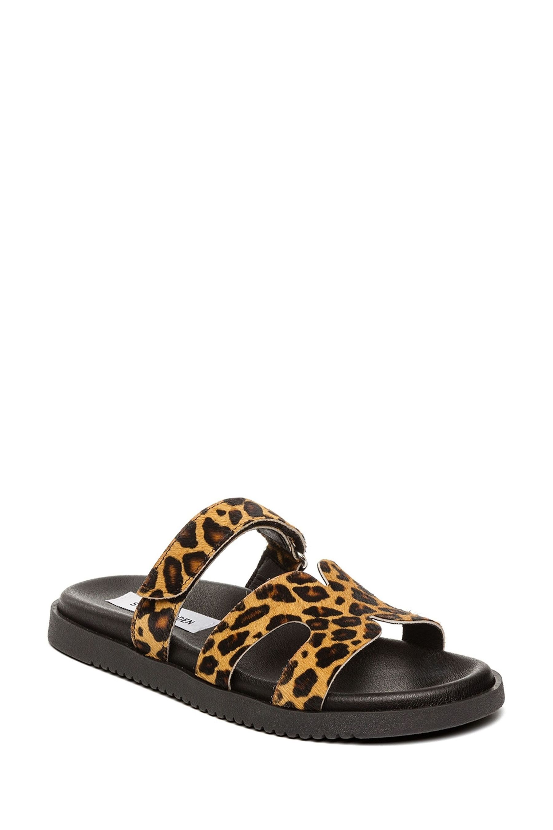 Steve madden leopard print slides deals