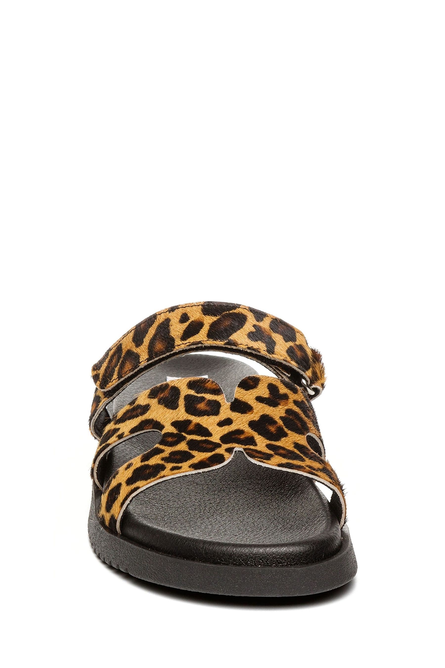 Buy Steve Madden Animal Print Missile L Sandals from Next Romania