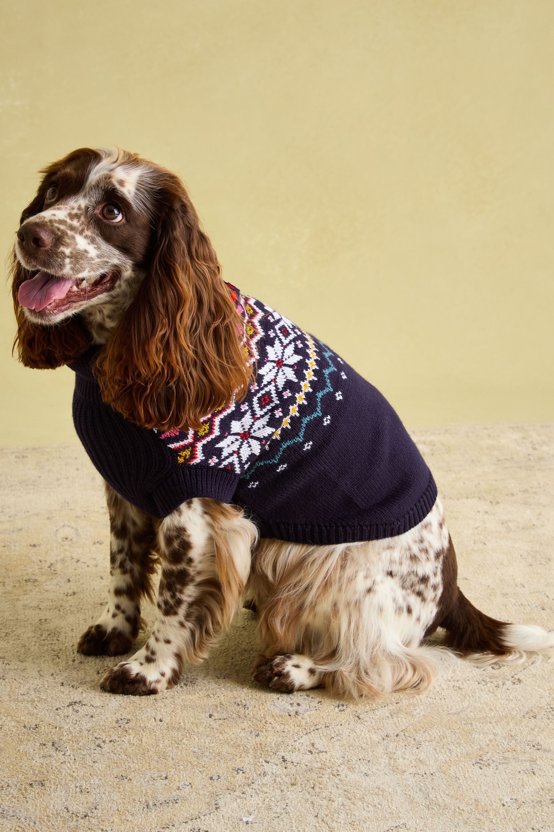 Joules dog jacket best sale