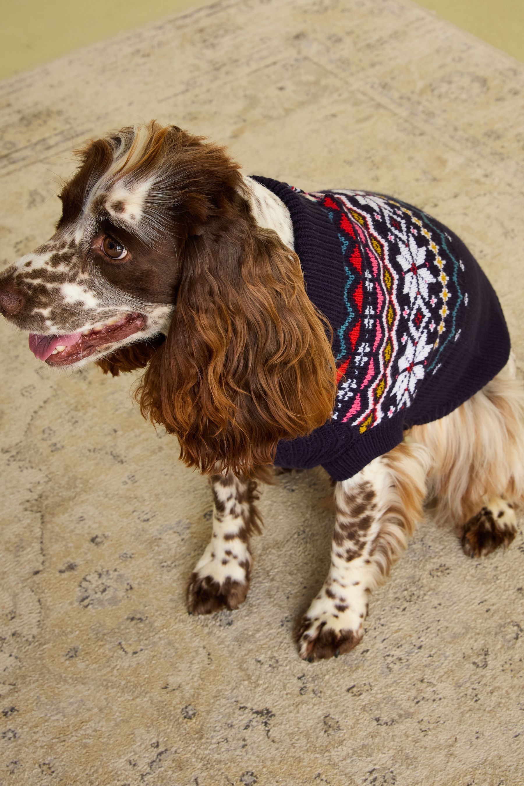 Joules black jumper dogs shop