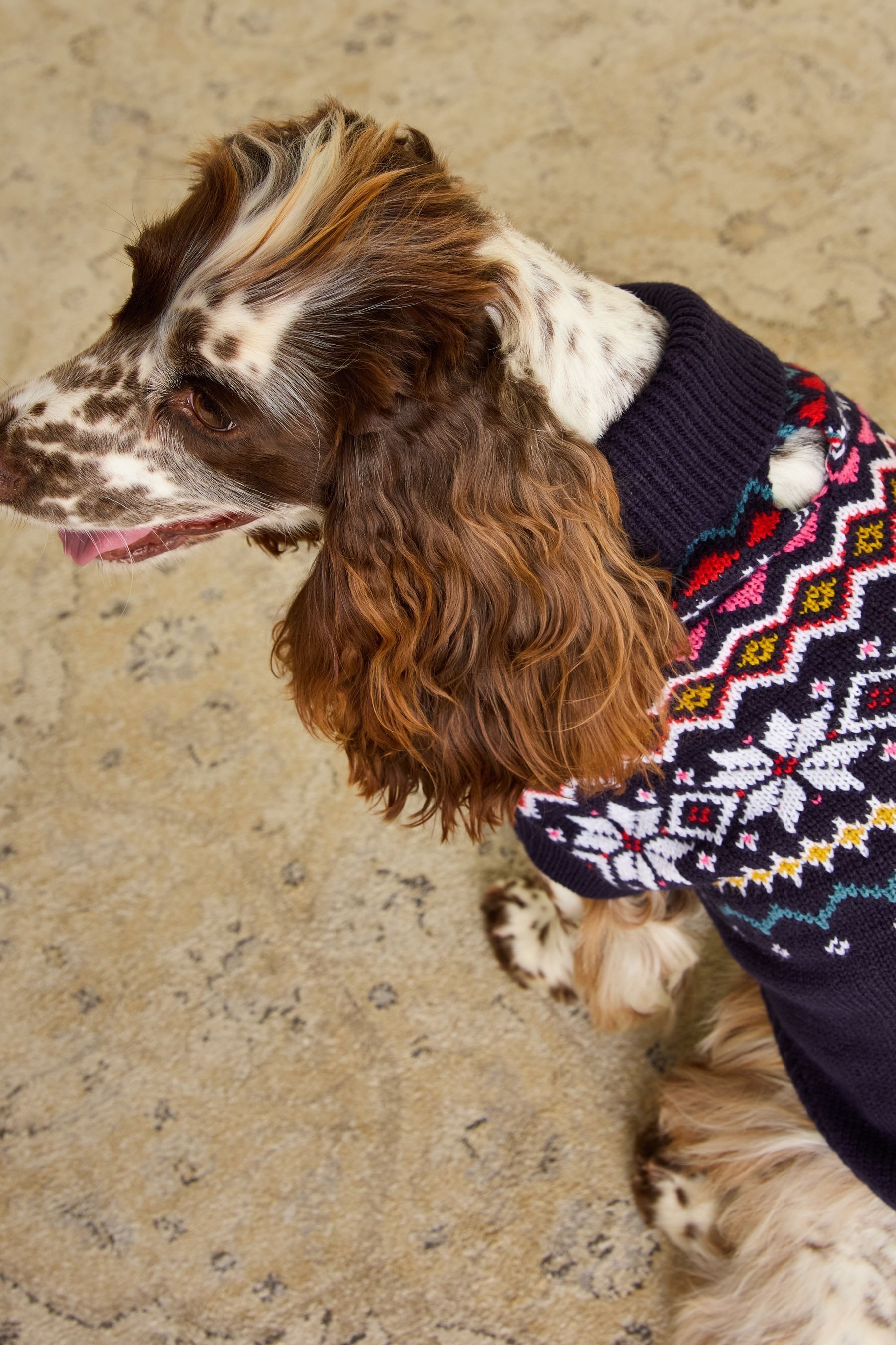 Joules Navy Jumper