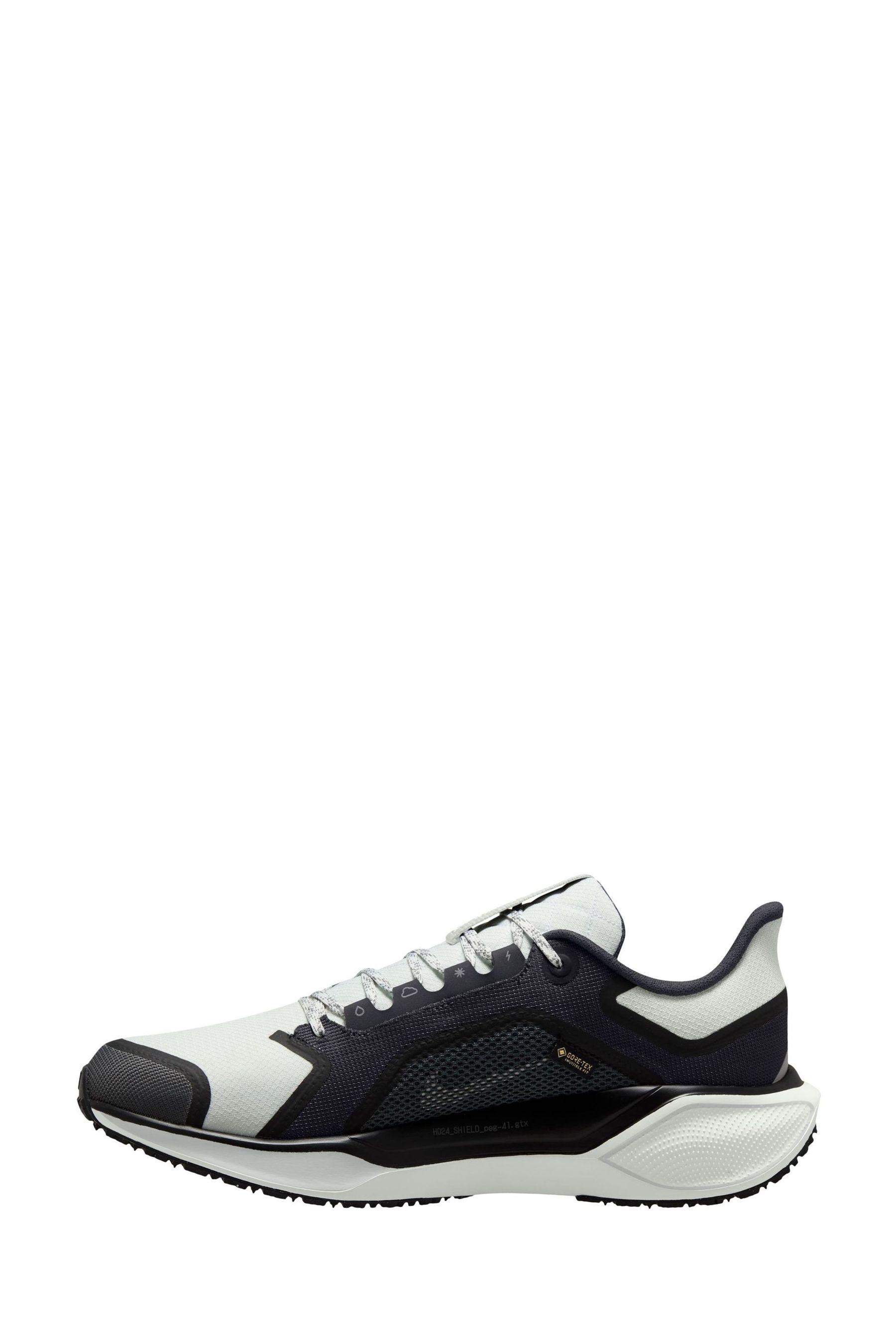 Buy Nike Black Pegasus 41 GORE TEX Trail Running Trainers from Next Canada