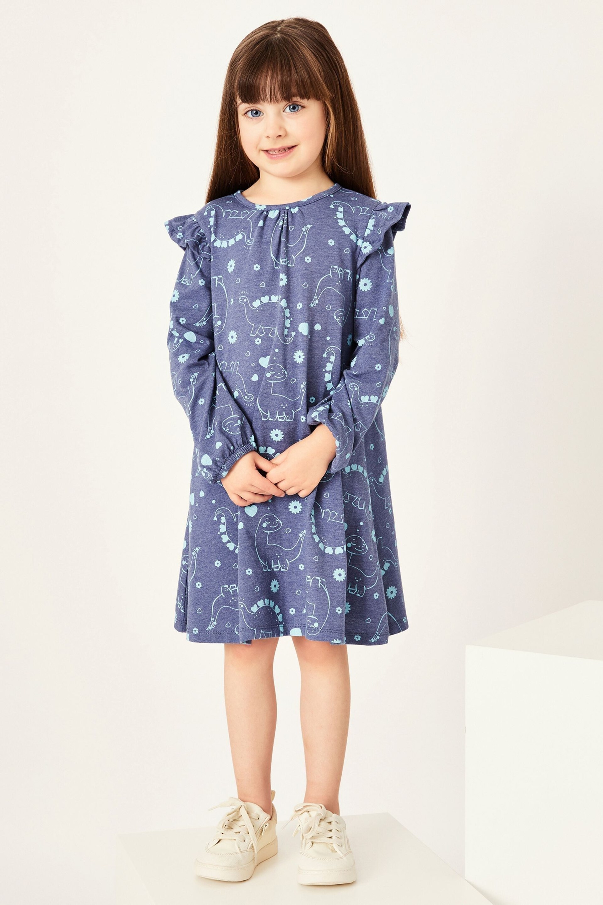 Harry Bear Blue Dinosaur Long Sleeve Dress - Image 1 of 4