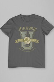 All + Every Grey Mens Jurassic Park Fossil Finder Dig Team 100% Cotton T-Shirt - Image 3 of 4