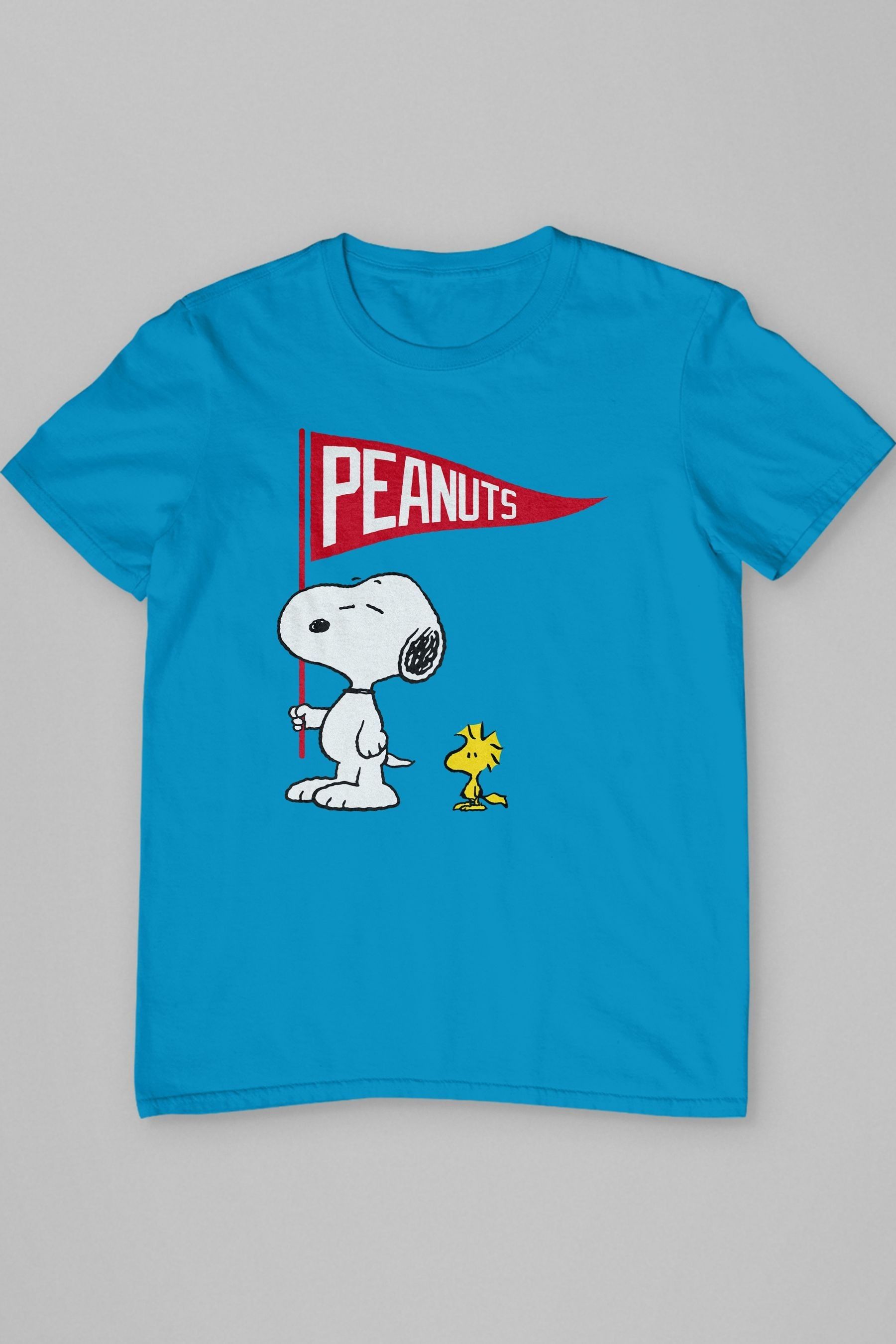Buy All Every Blue Mens 100 Cotton Peanuts Snoopy And Woodstock Flag T Shirt from the Next UK online shop