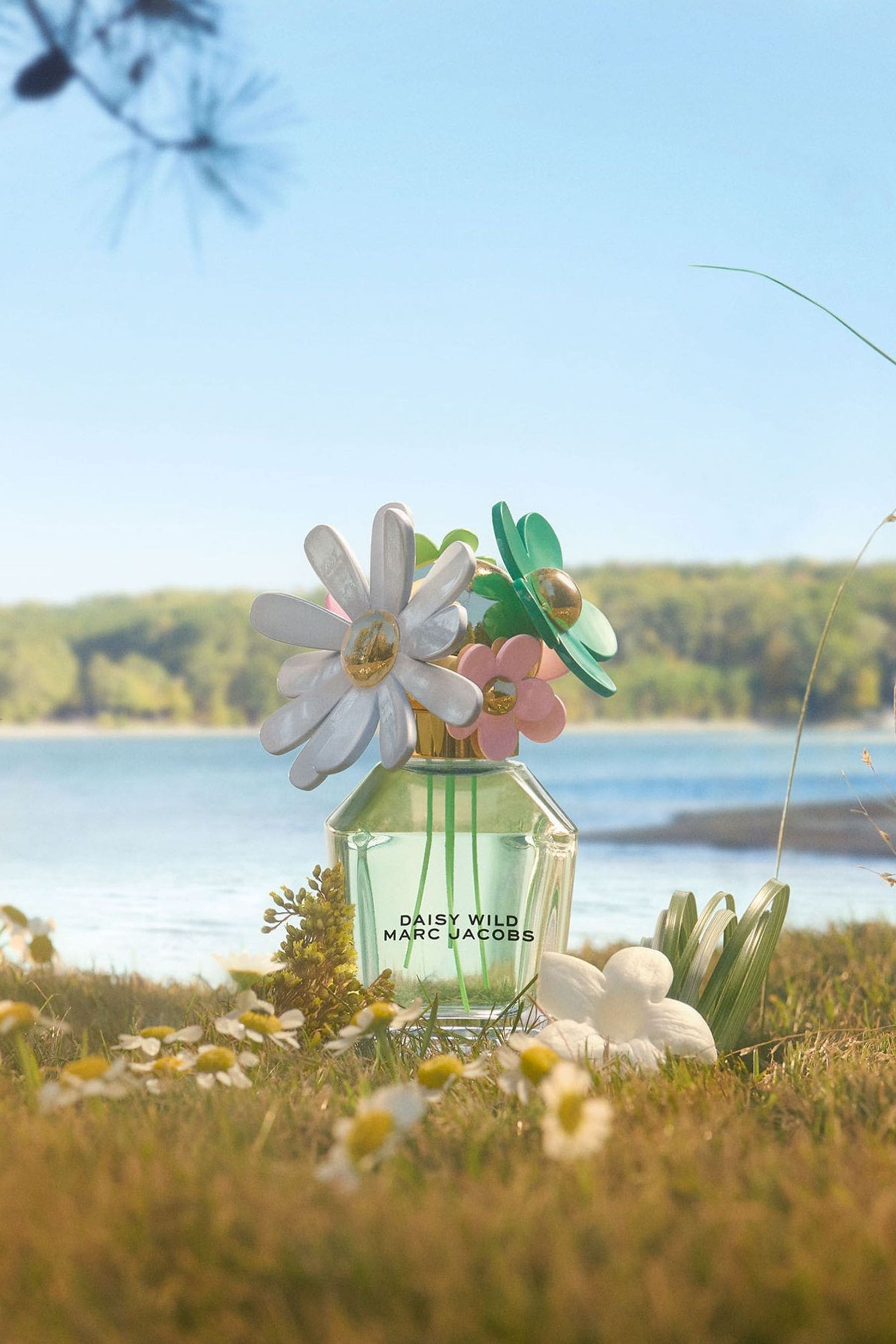 Next daisy perfume new arrivals