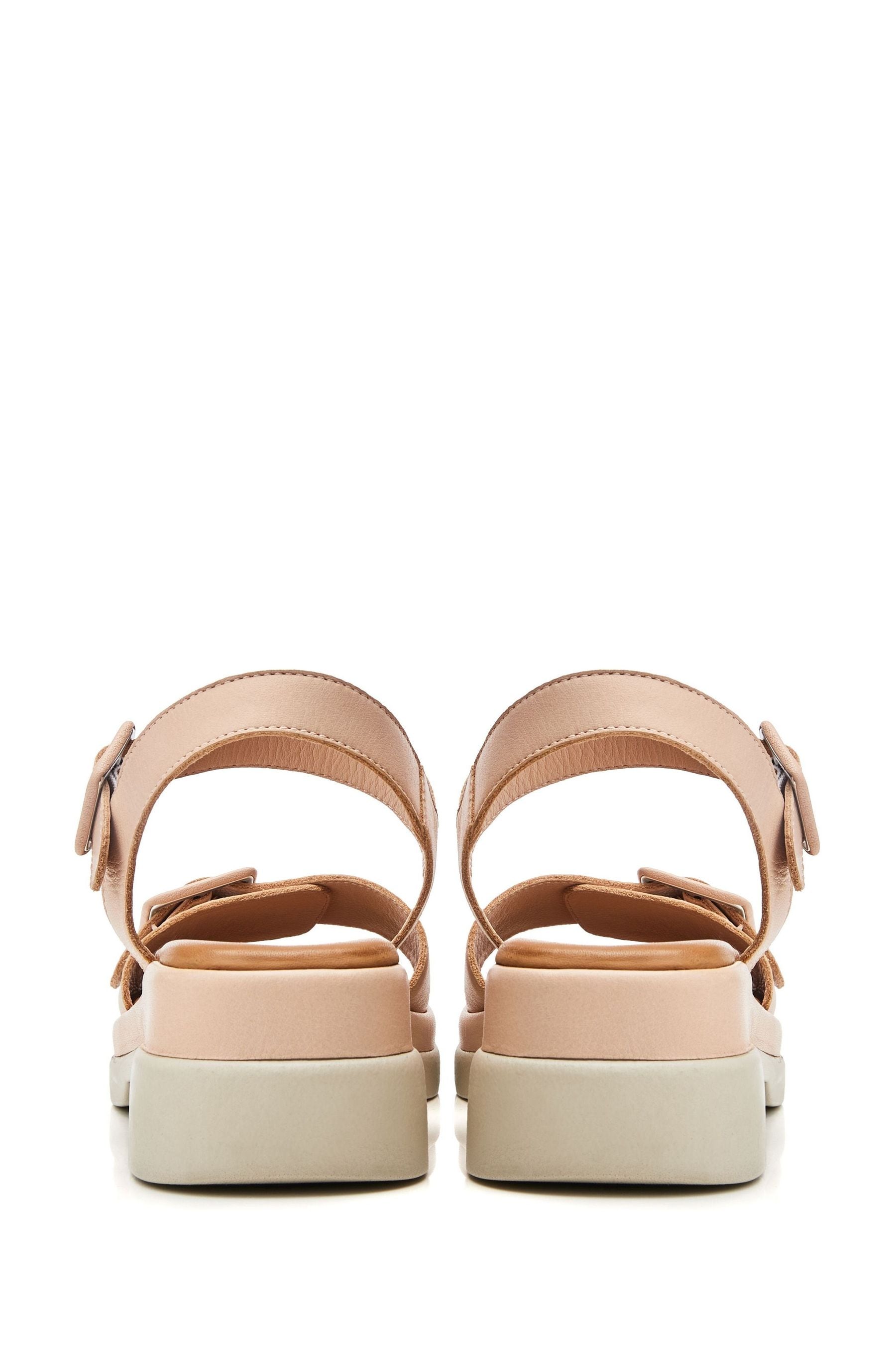 Buy Moda in Pelle SH Shore Open Waist with Strap Buckle Vamp Sandals from Next Luxembourg