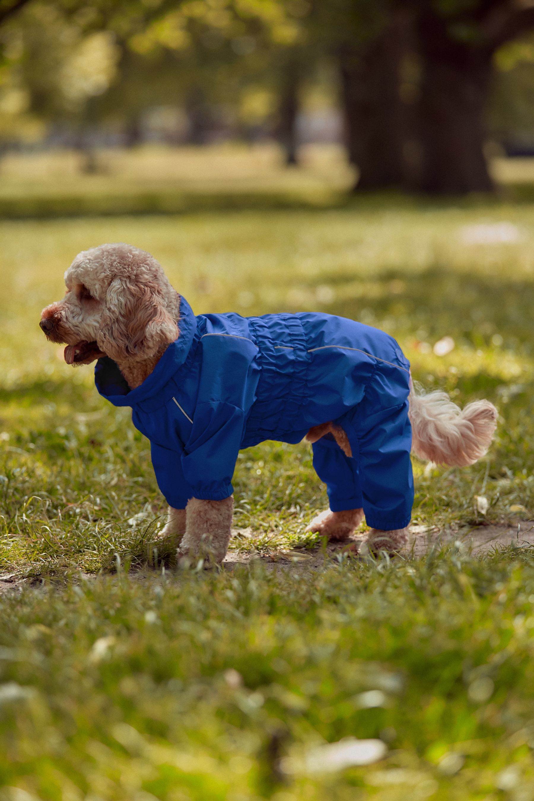 Waterproof dog suit with legs hotsell