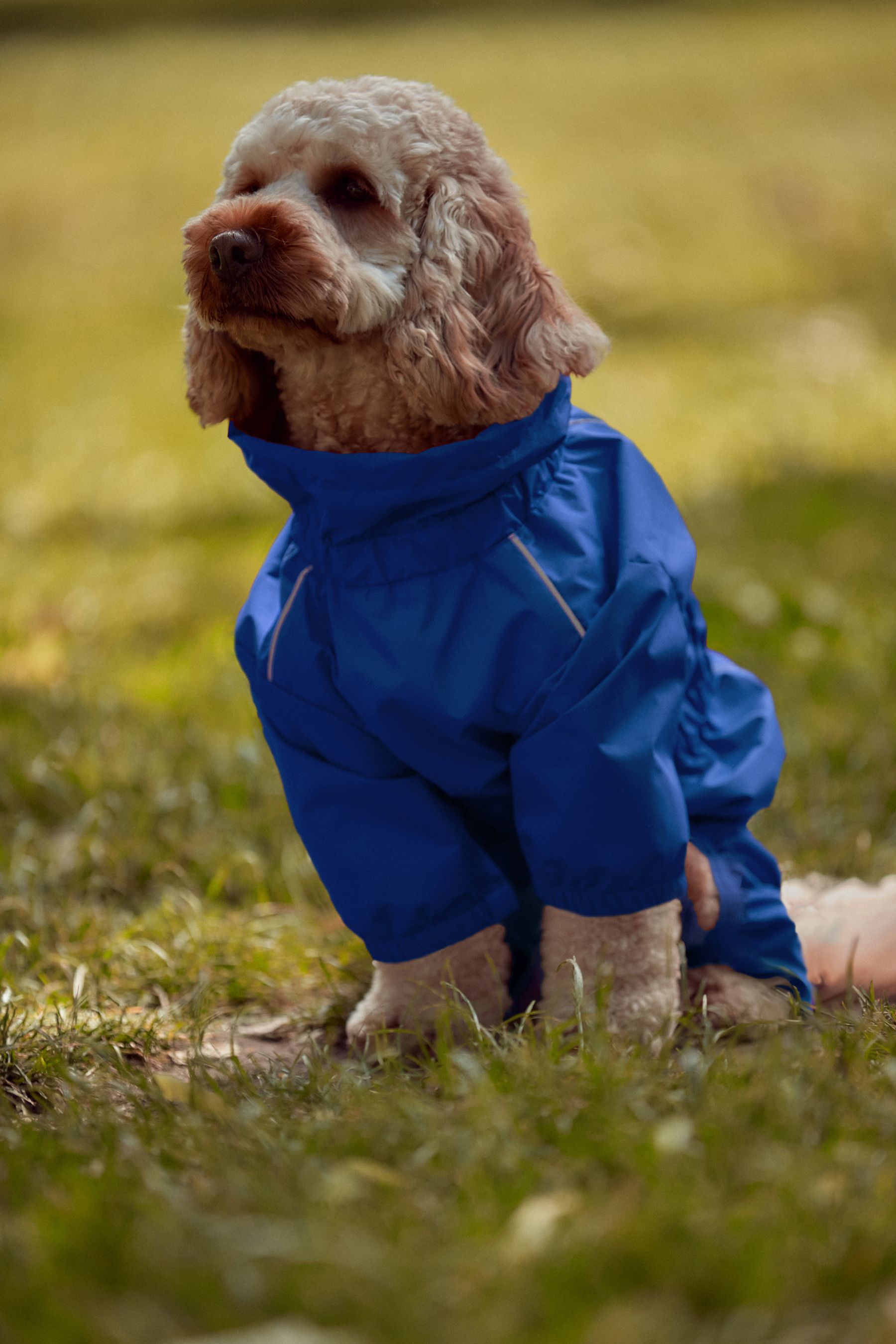 Blue 4 Leg Waterproof Dog Coat