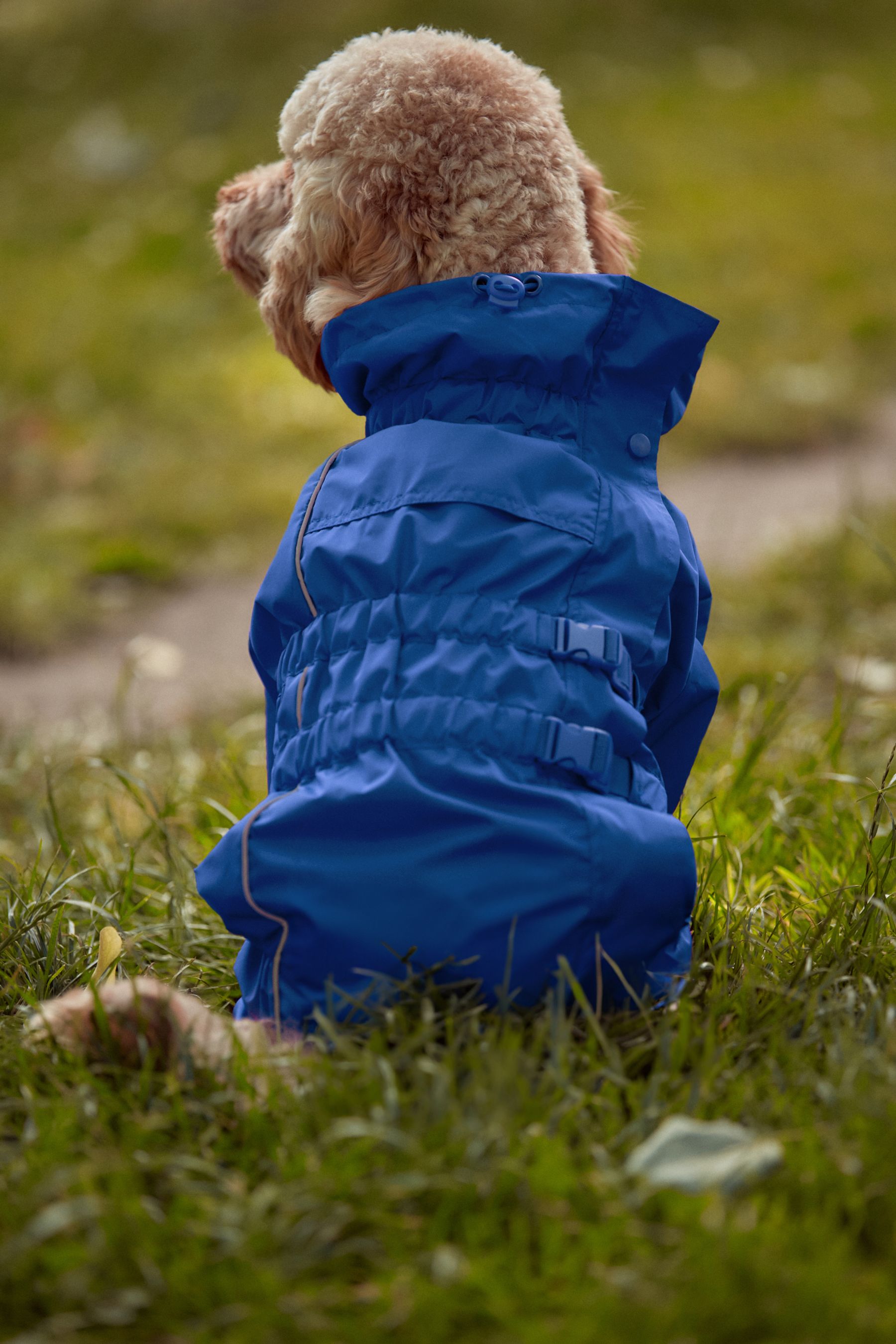 Waterproof dog coat with hood cheap