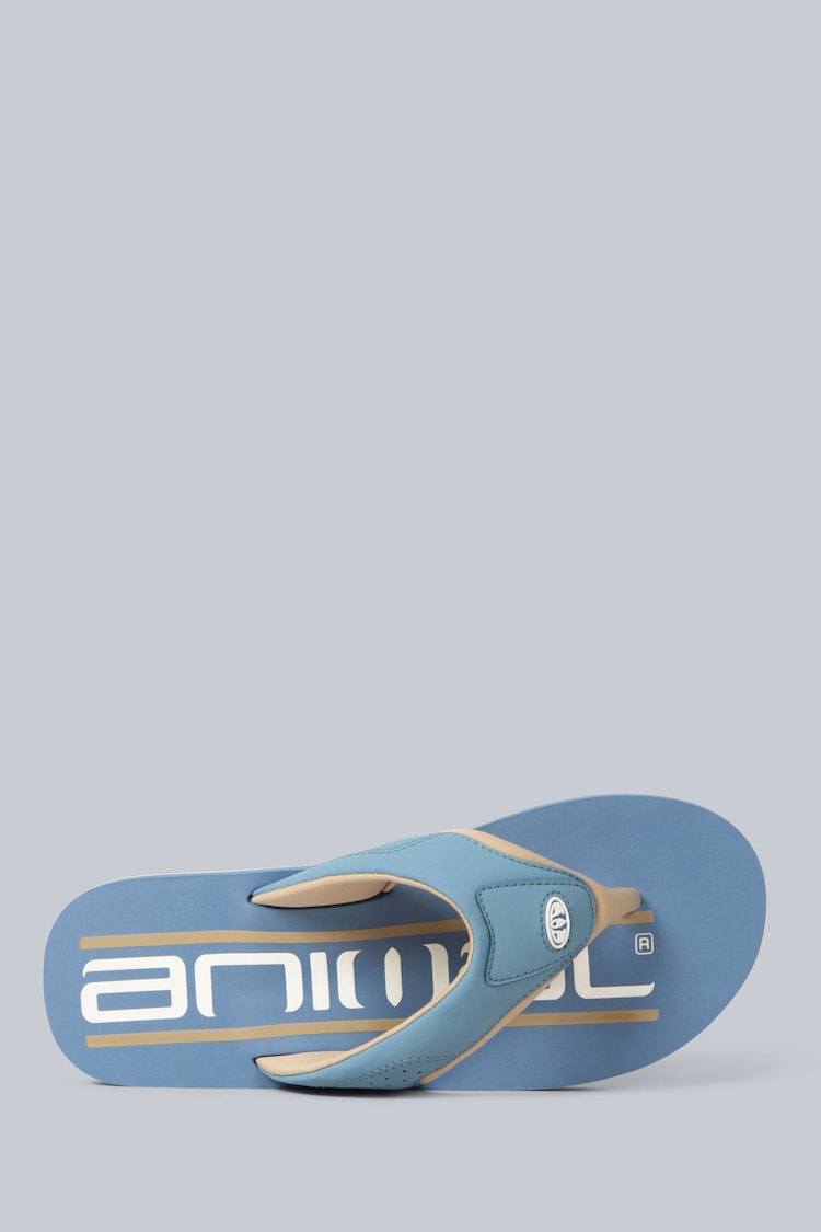 Animal Pale Blue Jekyl Logo Flip Flops - Image 2 of 5