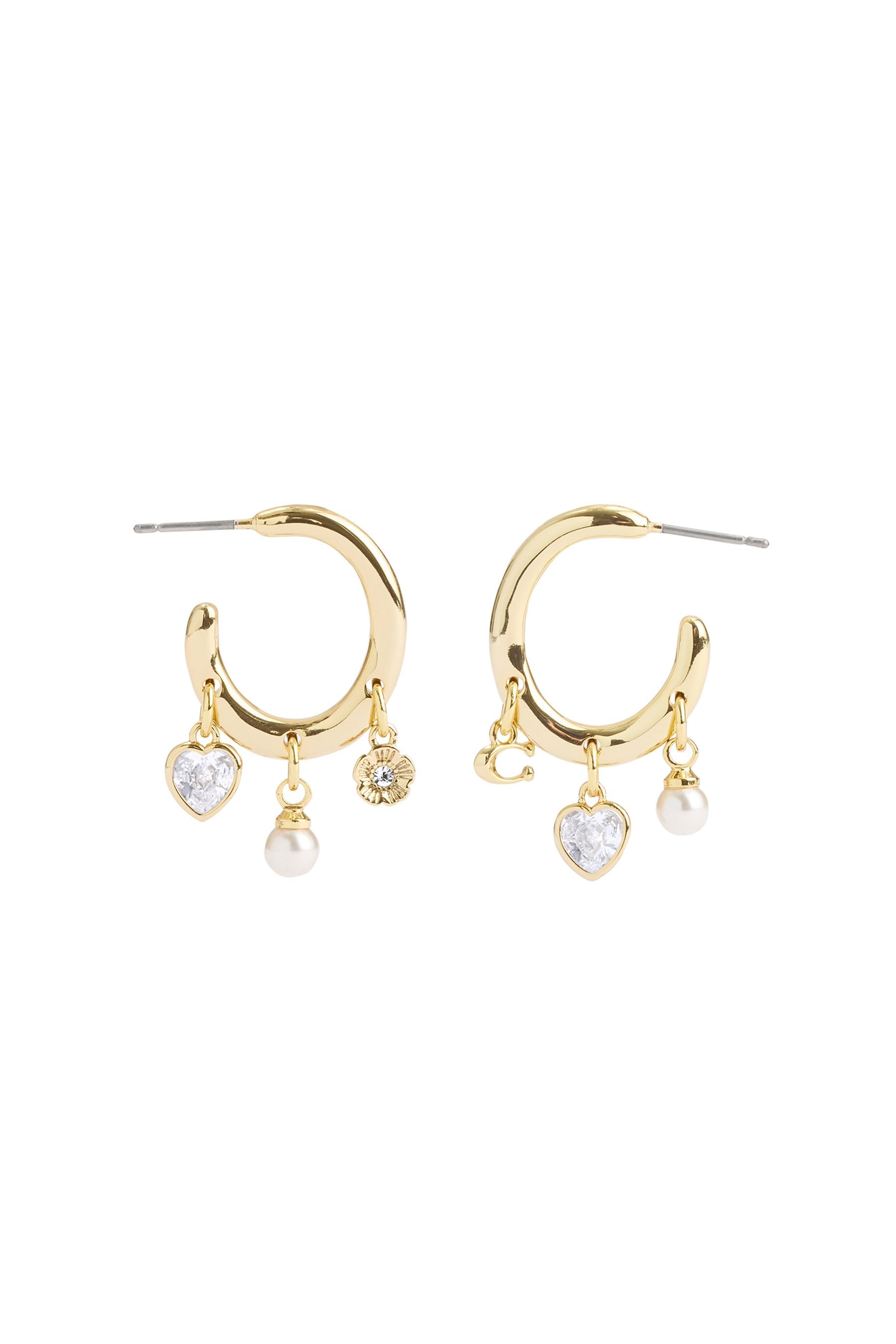 Stunning Coach Hoop Earrings Gold: A Comprehensive Guide