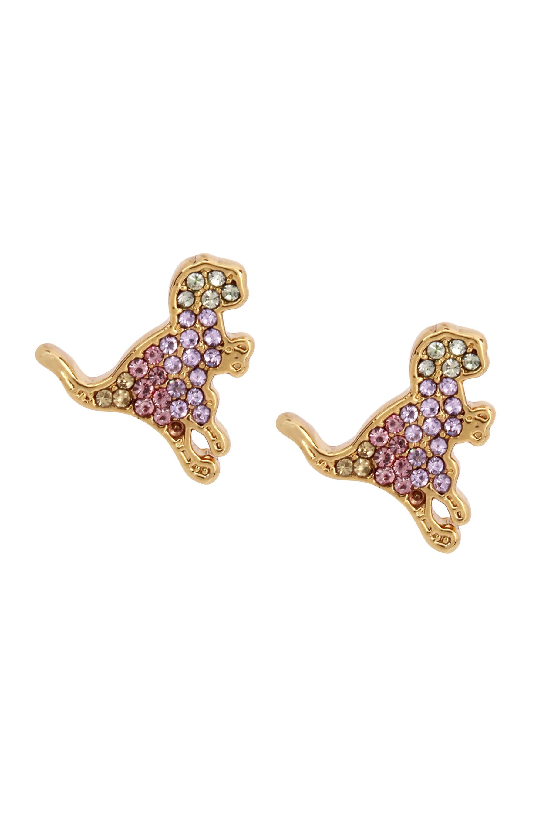 Coach dinosaur earrings on sale