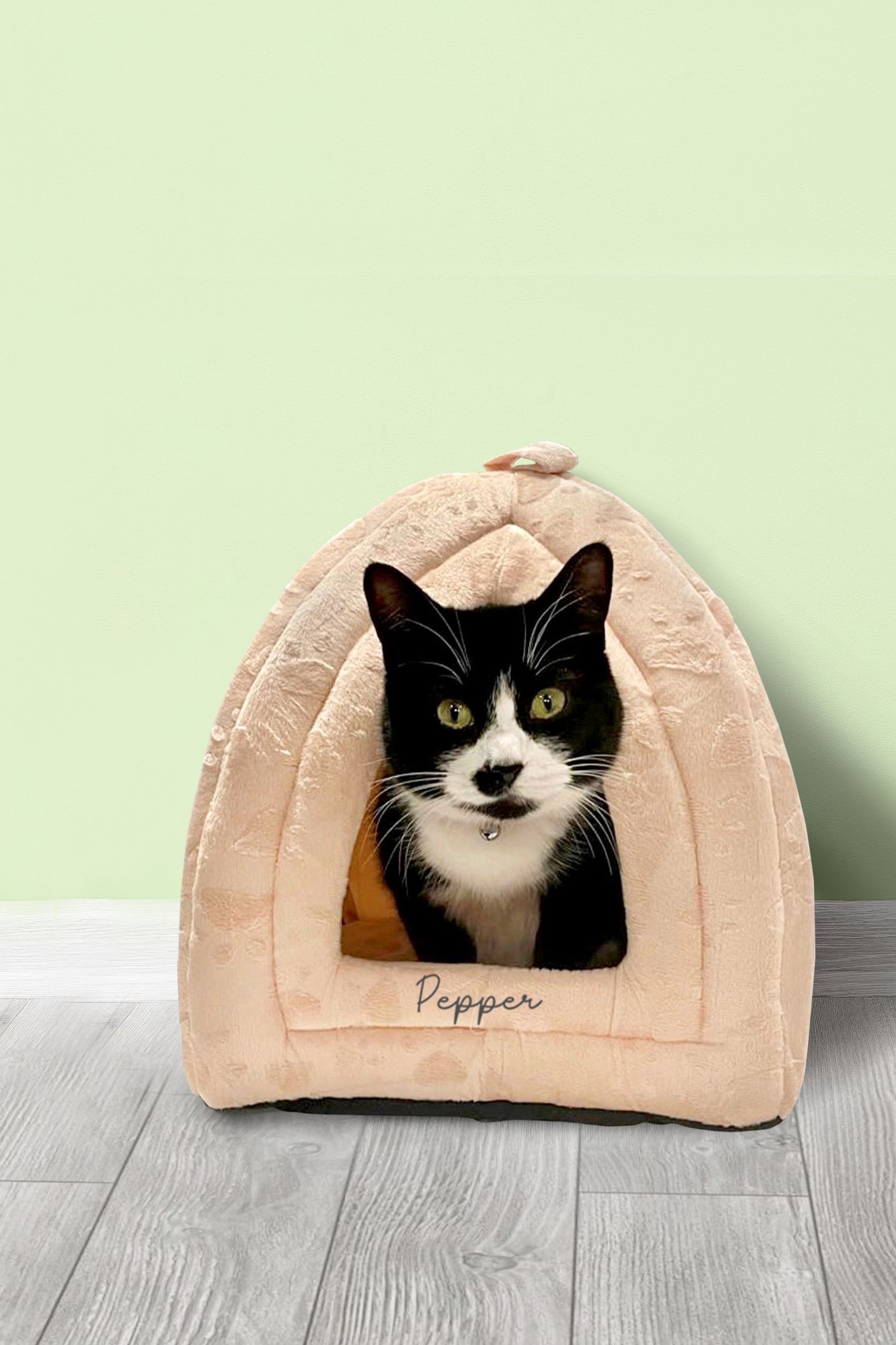 Buy Personalised Pyramid Cat Bed by Jonnys Sister from the Next UK online shop