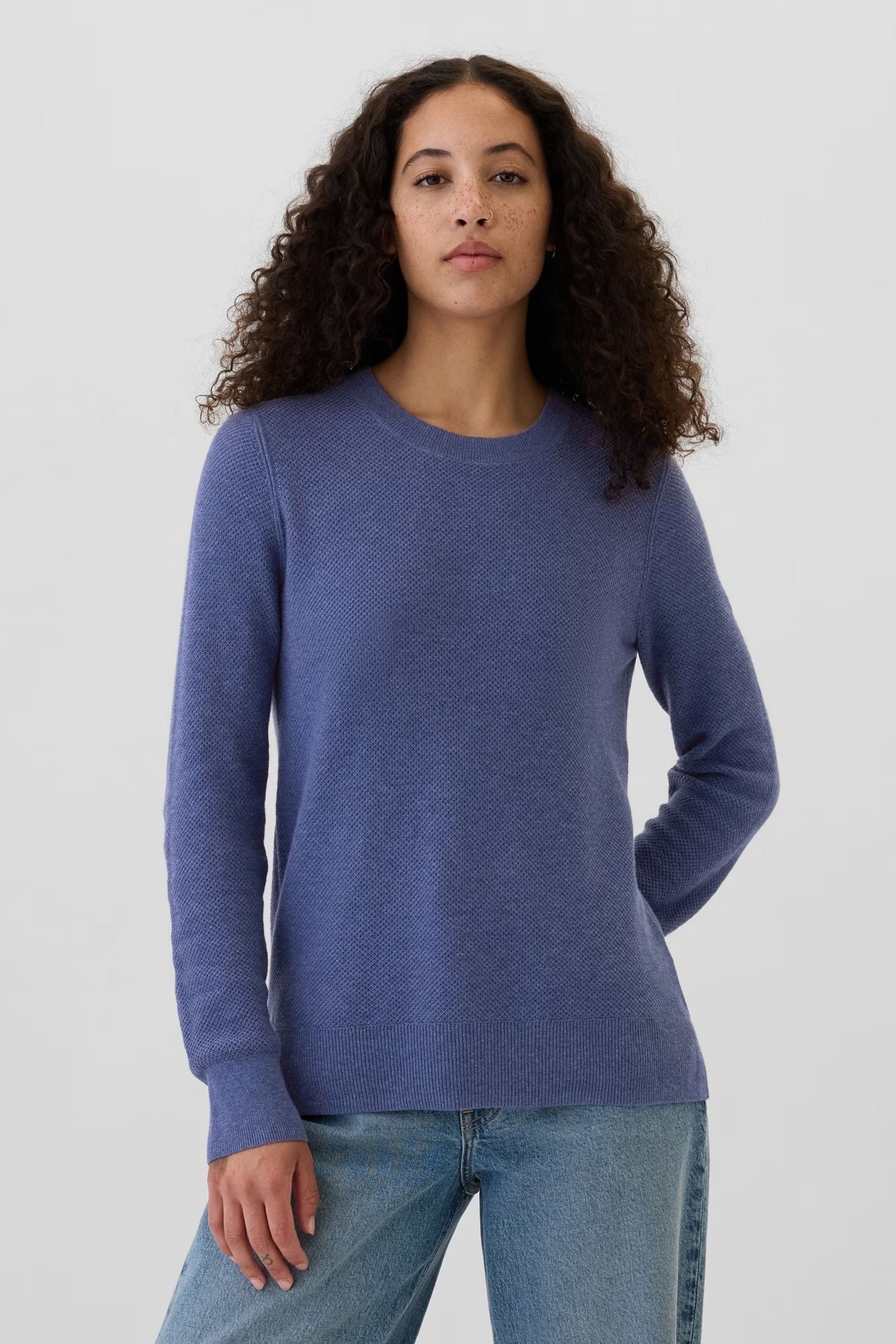 Buy Gap Blue Textured Crew Neck Bella Jumper from Next Luxembourg