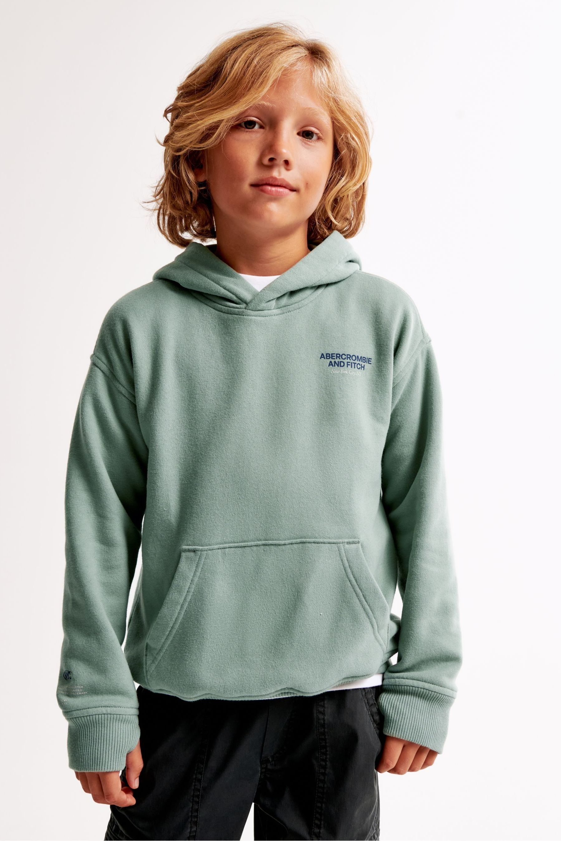 Abercrombie and fitch pullover hoodie 2025