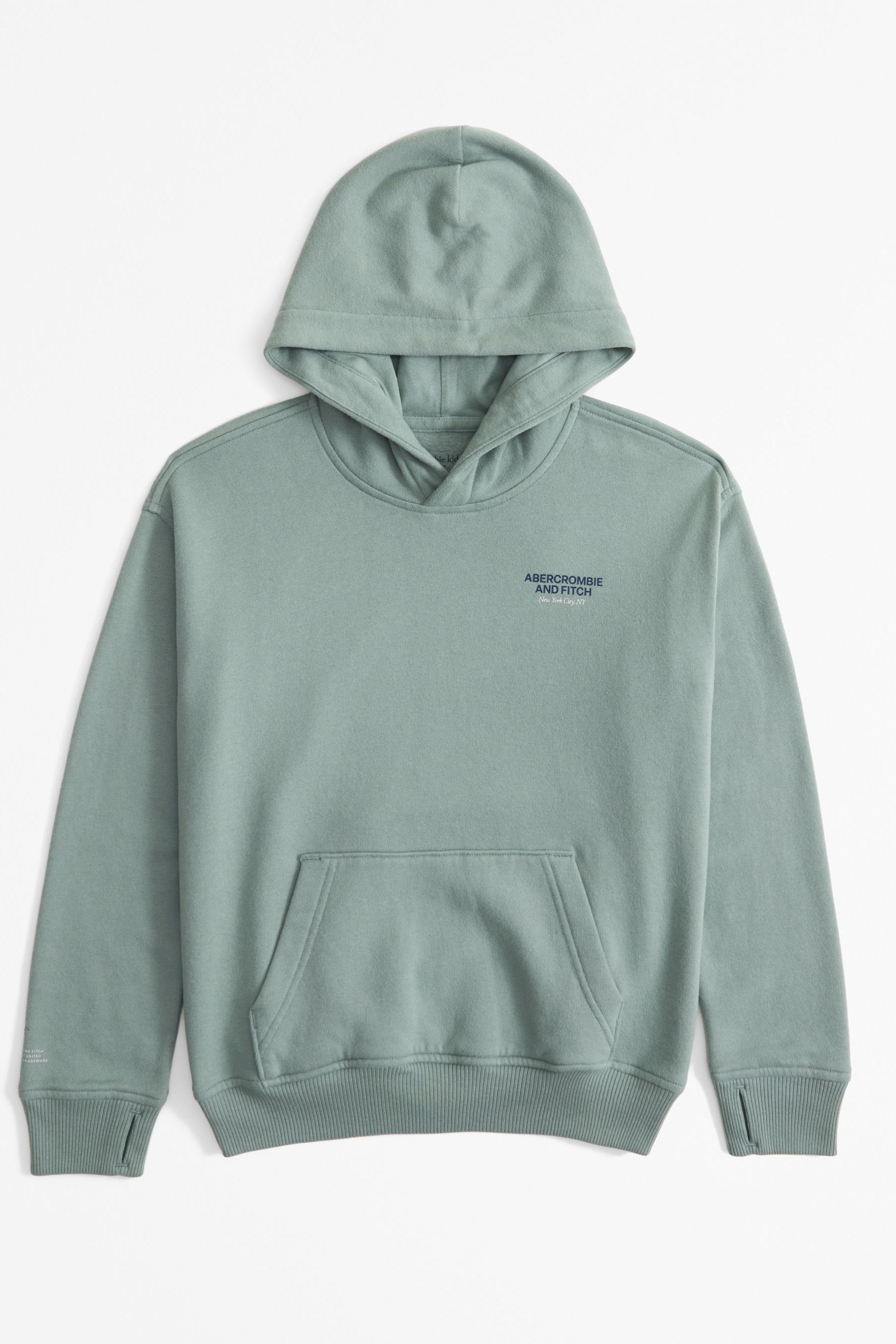 Abercrombie and fitch green hoodie 2025