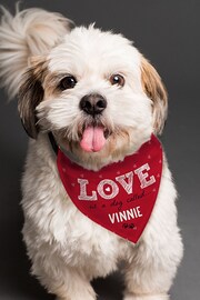 Personalised Love is Dog Bandana by PMC - Image 1 of 3