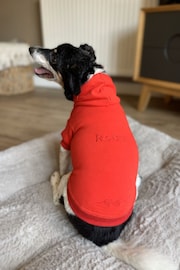 100% Cotton Personalised Luxury Dog Hoodie by RUFF - Image 1 of 5