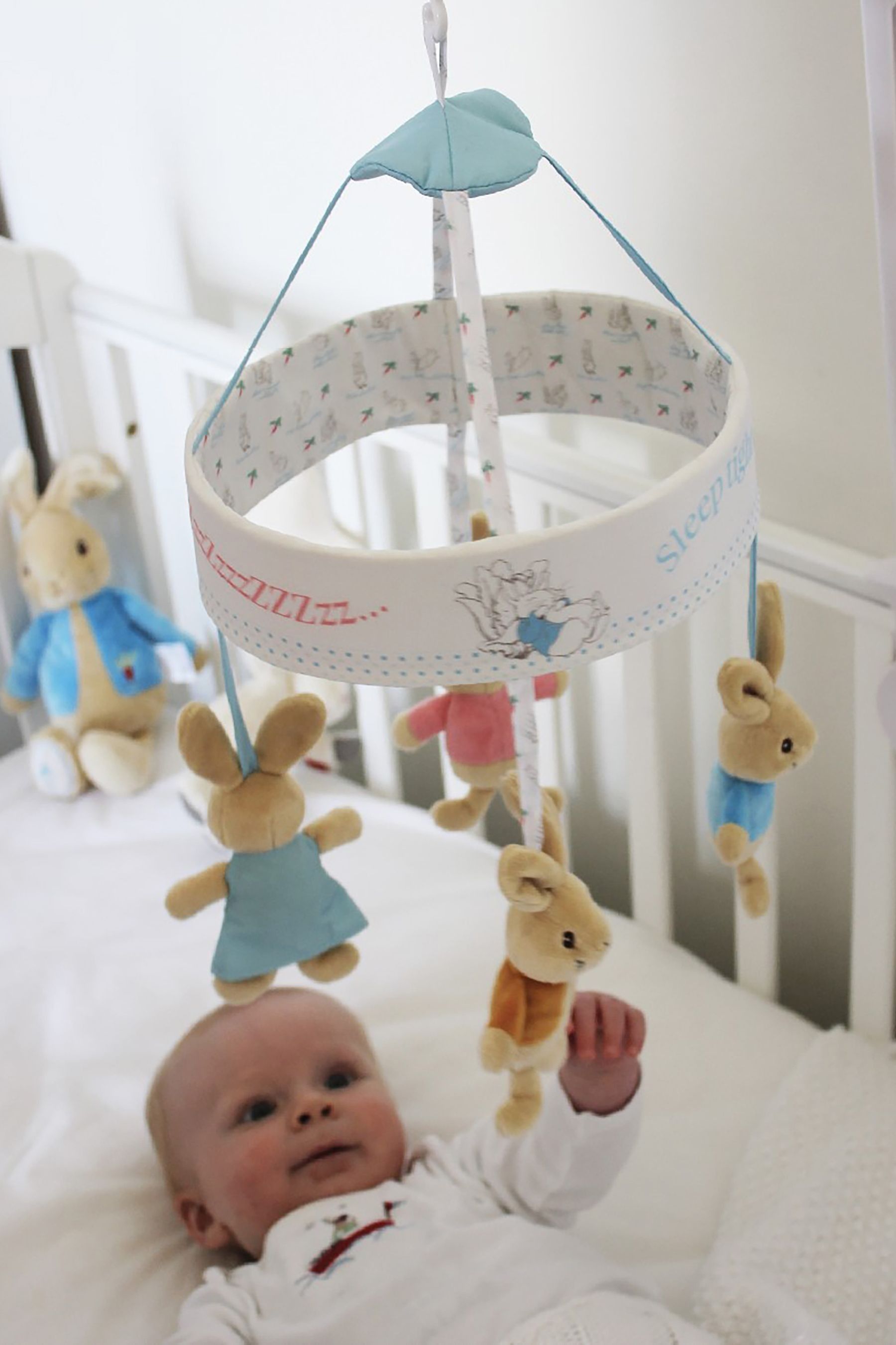 Peter rabbit bassinet cheap
