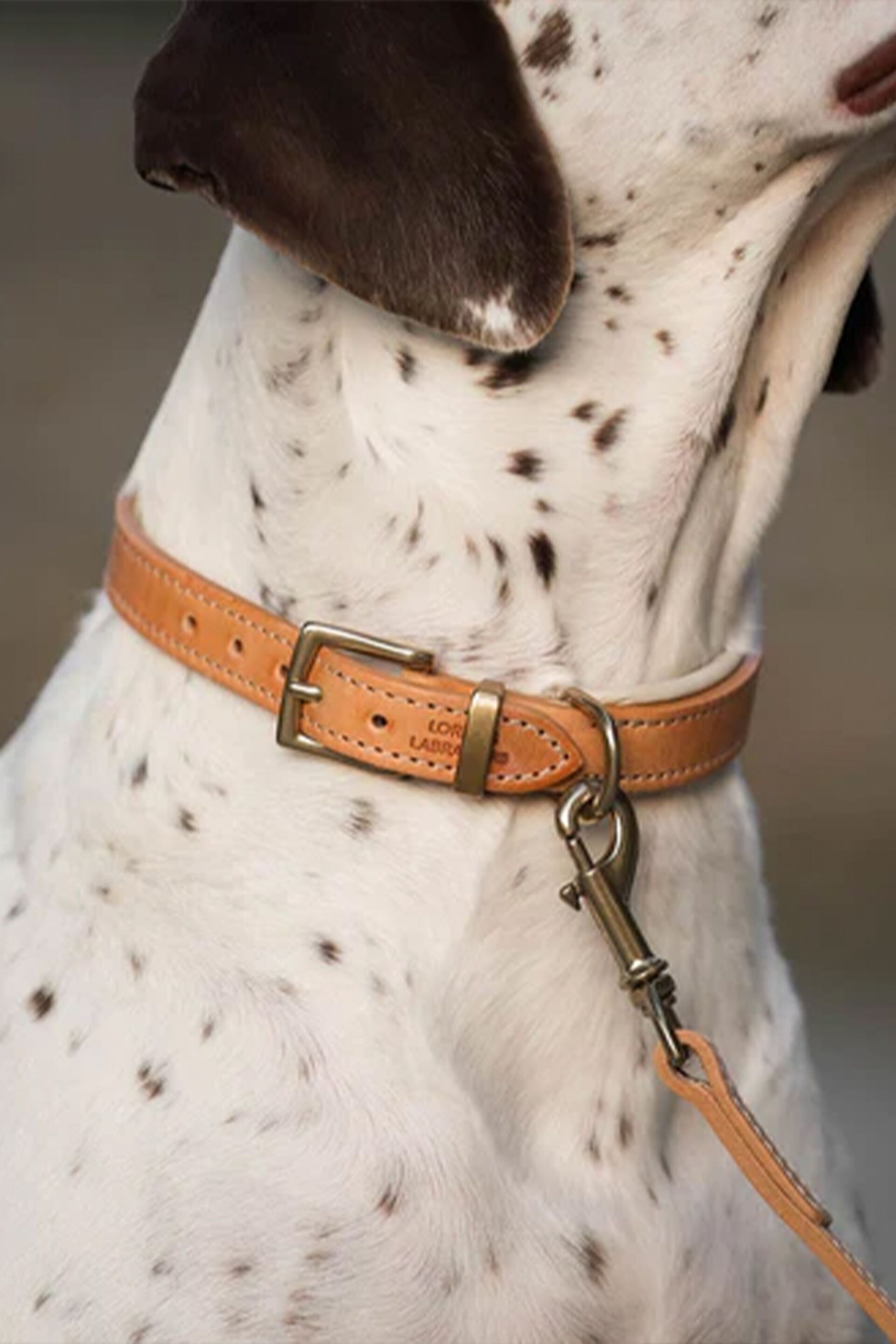 Lords and Labradors Tan Cream Italian Leather Dog Lead - Image 3 of 6