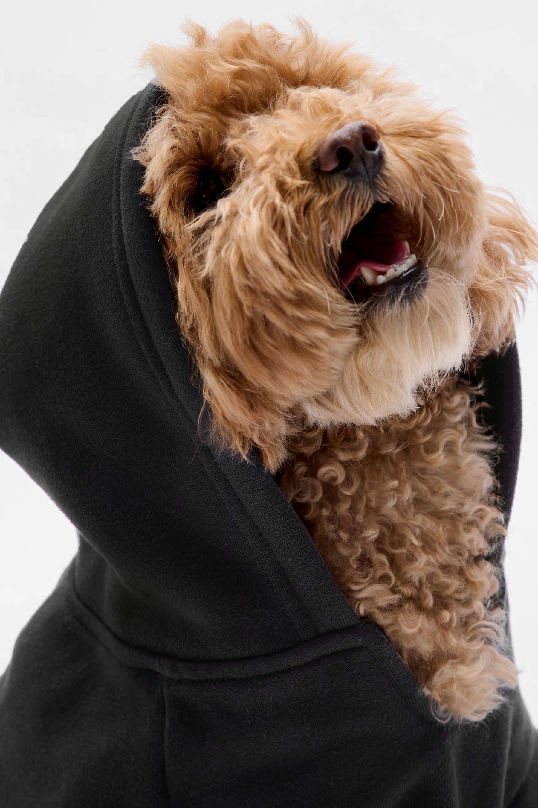 Gap fur hoodie top
