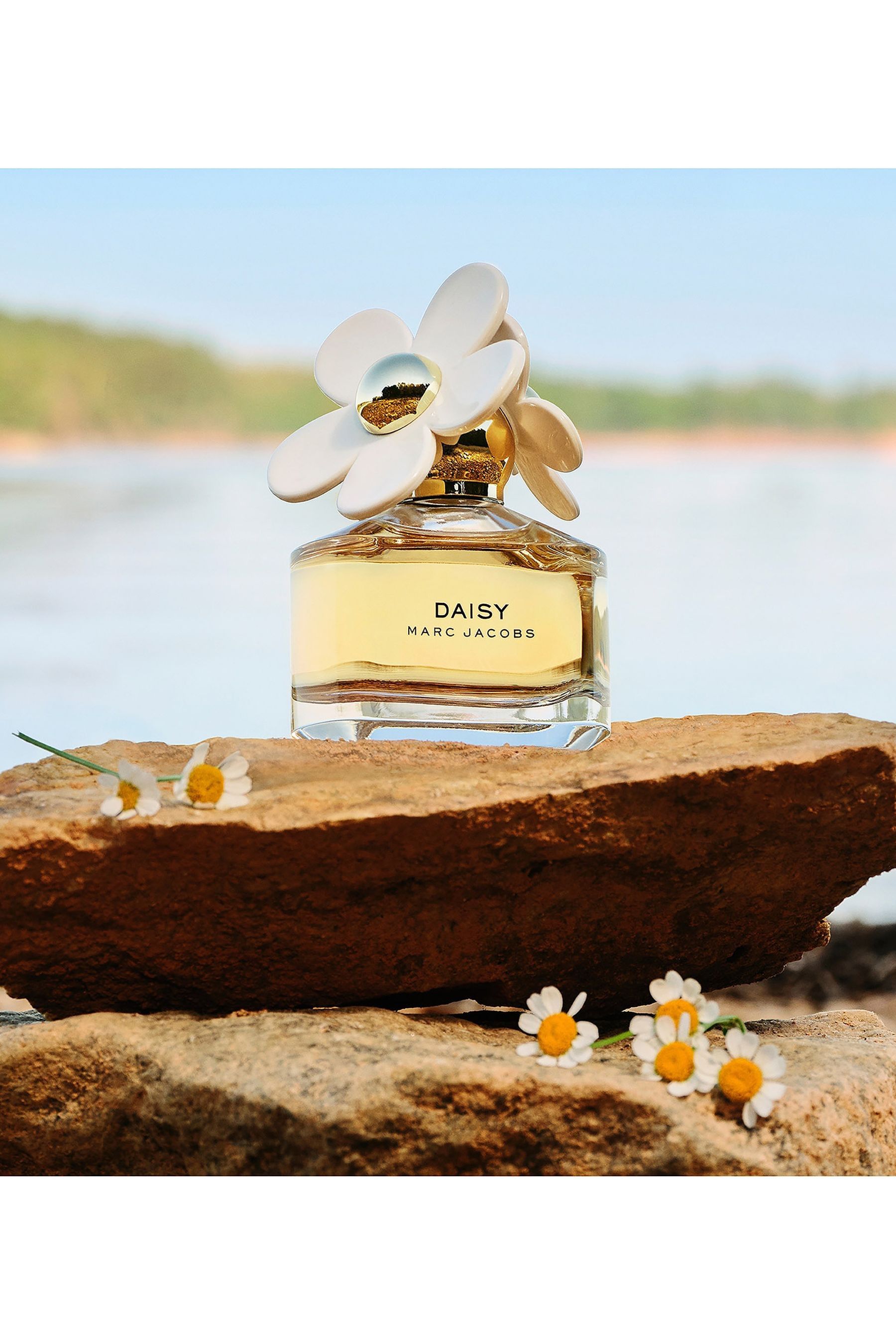 Next daisy perfume clearance