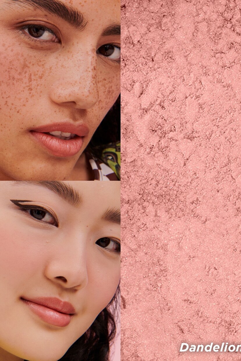 Benefit Dandelion BabyPink Blusher  Brightening Finishing Face Powder - Image 6 of 6