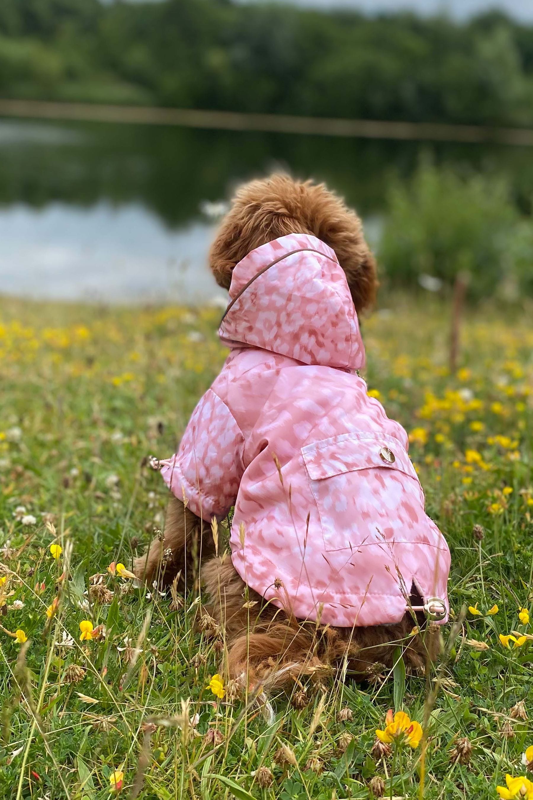 Buy Lipsy Pink Leopard Printed Dog Raincoat Anorak Jacket from Next Luxembourg