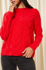 Friends Like These Berry Red Crew Neck Cable Pointelle Knit Jumper - Image 2 of 4