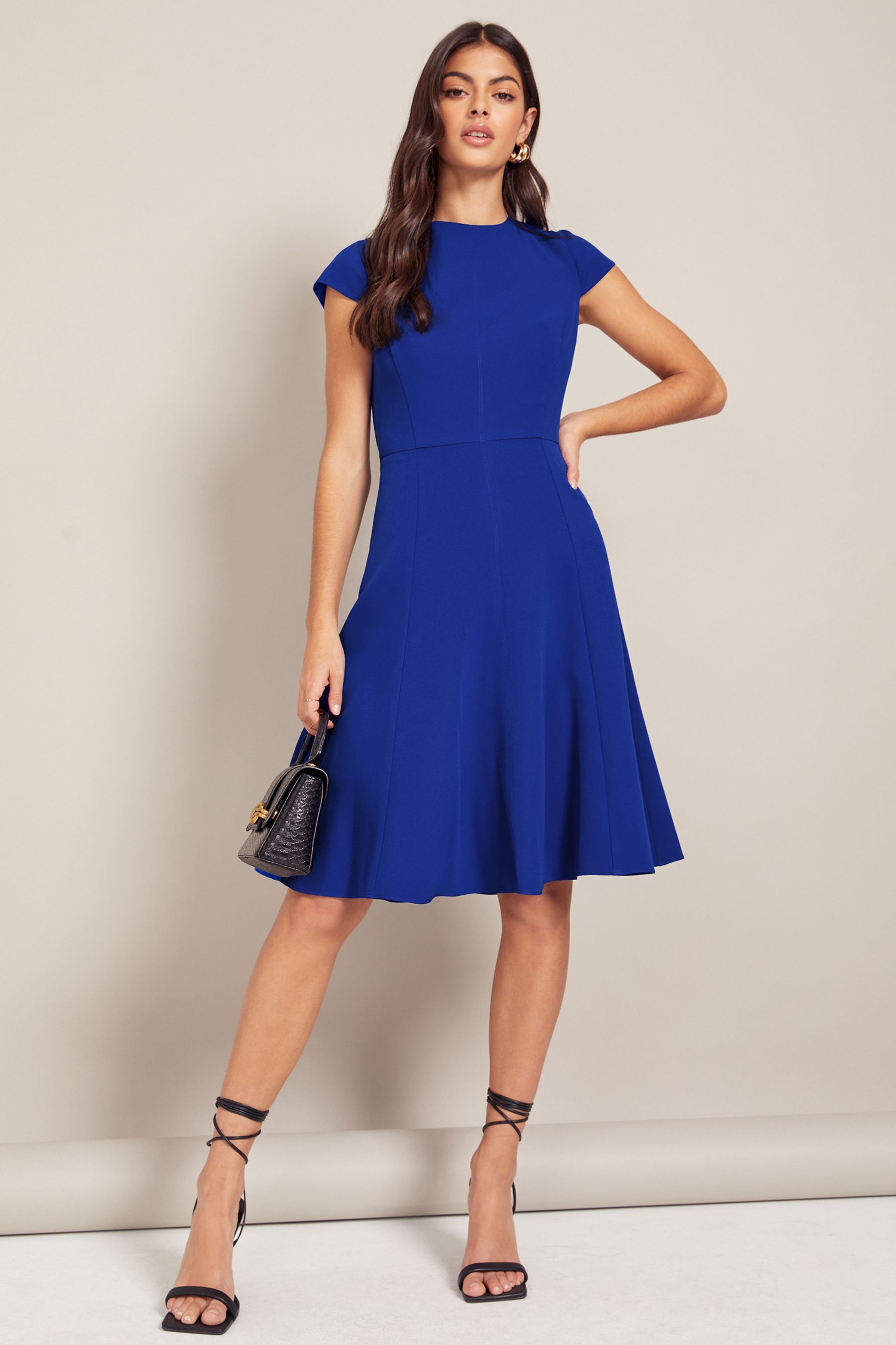 Buy Friends Like These Cobalt Blue Petite Tailored Fit and Flare Short Sleeve Skater Dress from Next Luxembourg