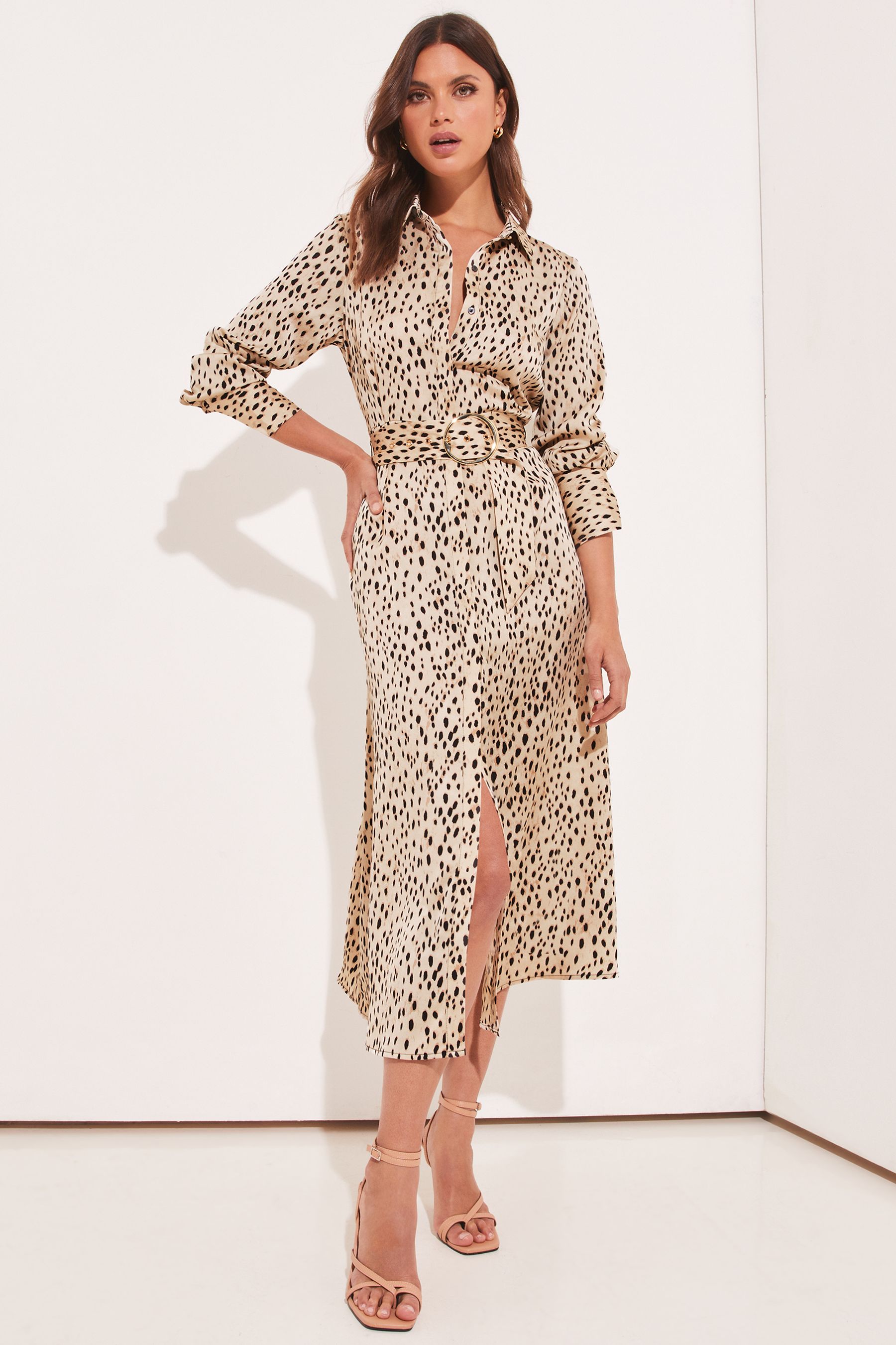 Maxi shirt dress petite top