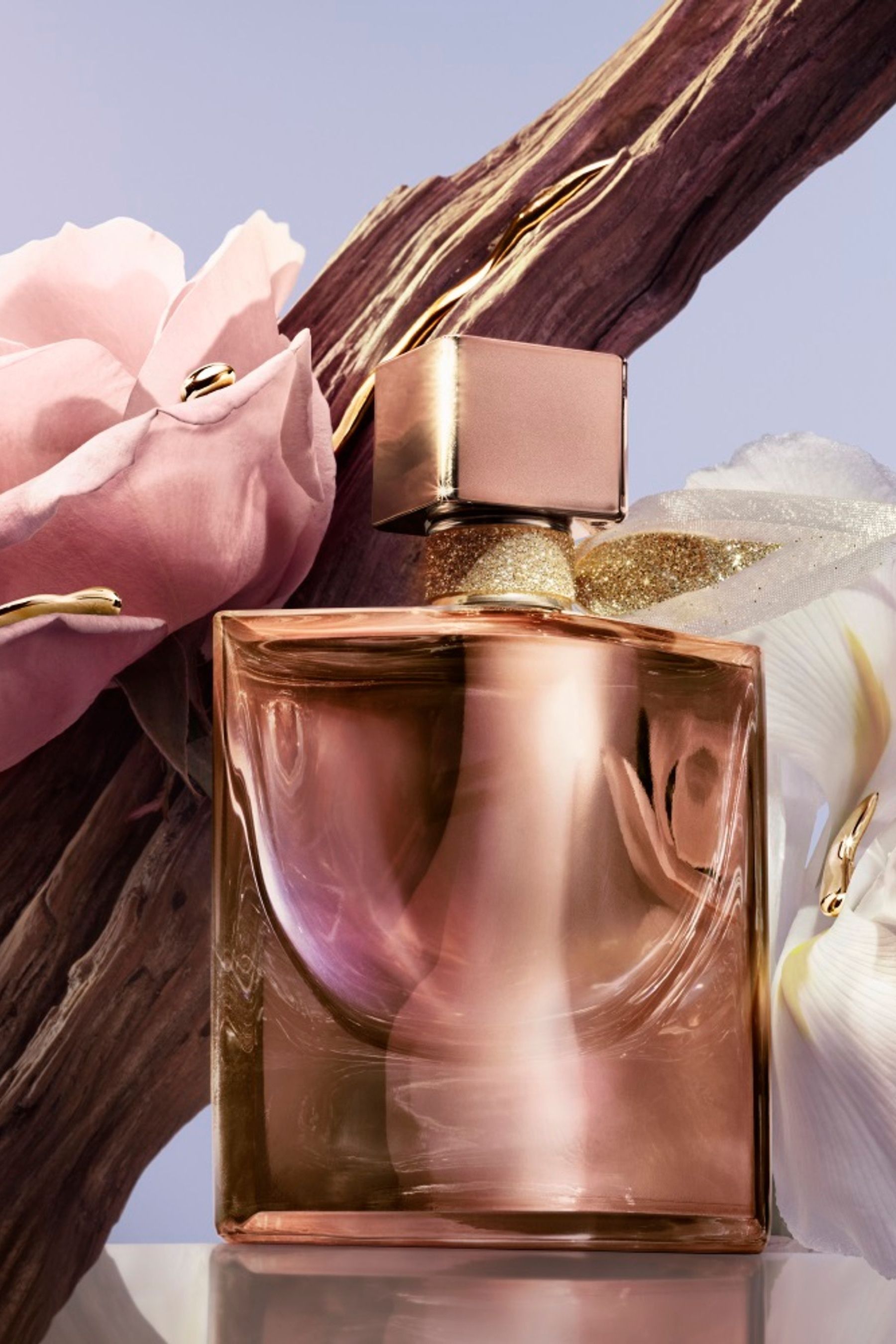 Buy Lancome La Vie Est Belle L Extrait Eau de Parfum 50ml from the Next UK online shop